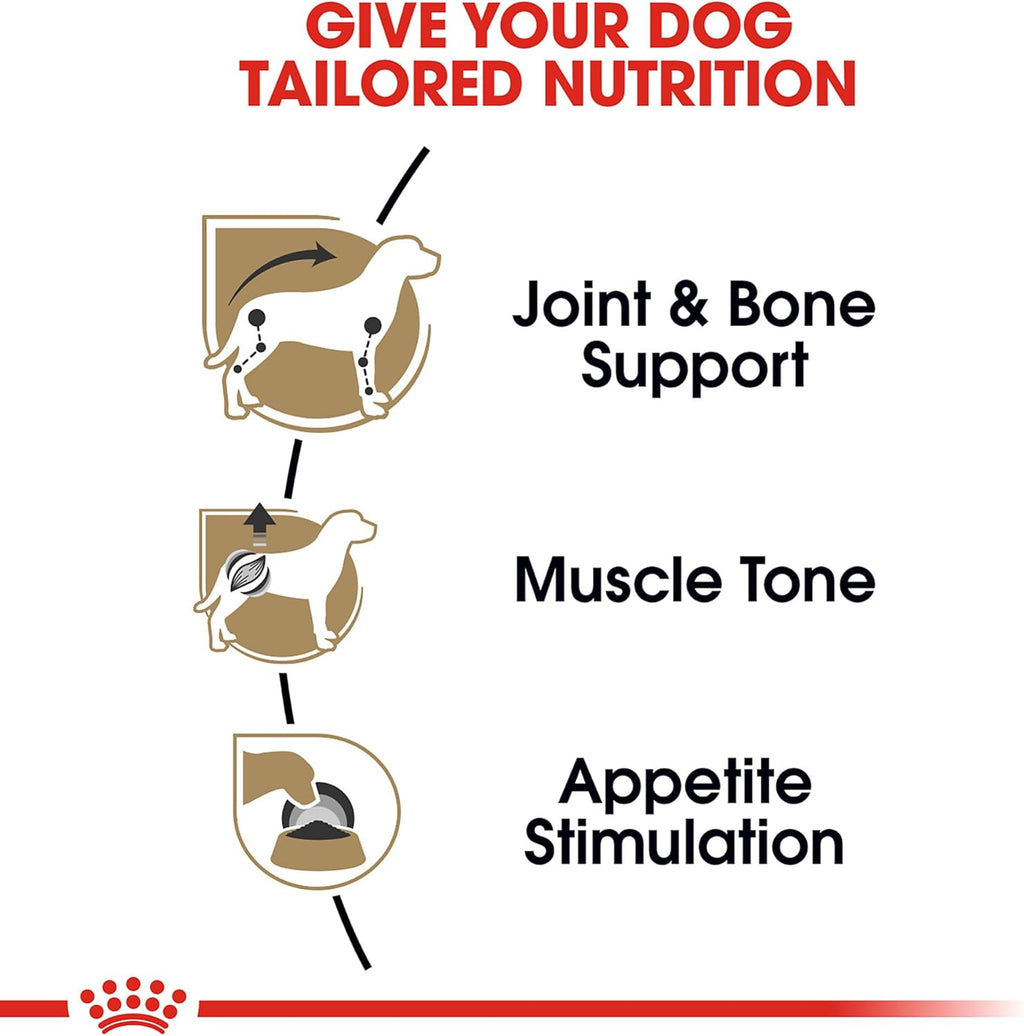Royal Canin Breed Health Nutrition Dachshund Adult Loaf in Sauce Dog Food, 3 oz (Pack of 24)