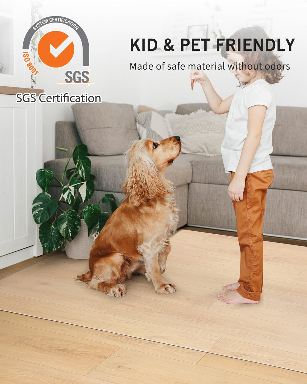 Clear Frosted Floor Mat, PVC Durable Anti-Scratch Floor Mat (24"x 36")