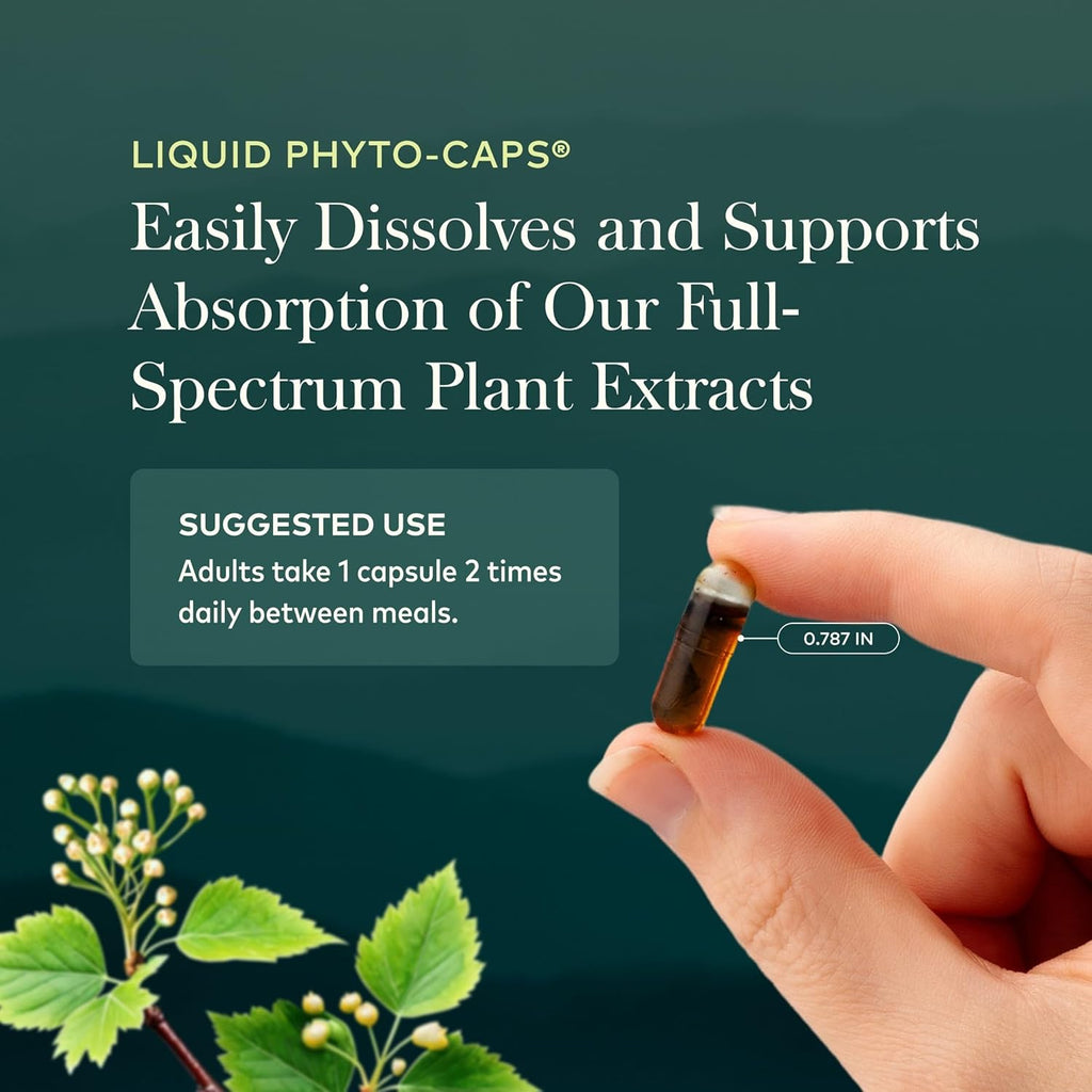 Gaia Herbs Mighty Lungs - Lung Support Supplement with Herbs Traditionally Used to Help Maintain Respiratory Health* - 60 Vegan Liquid Phyto-Caps (60 Servings)