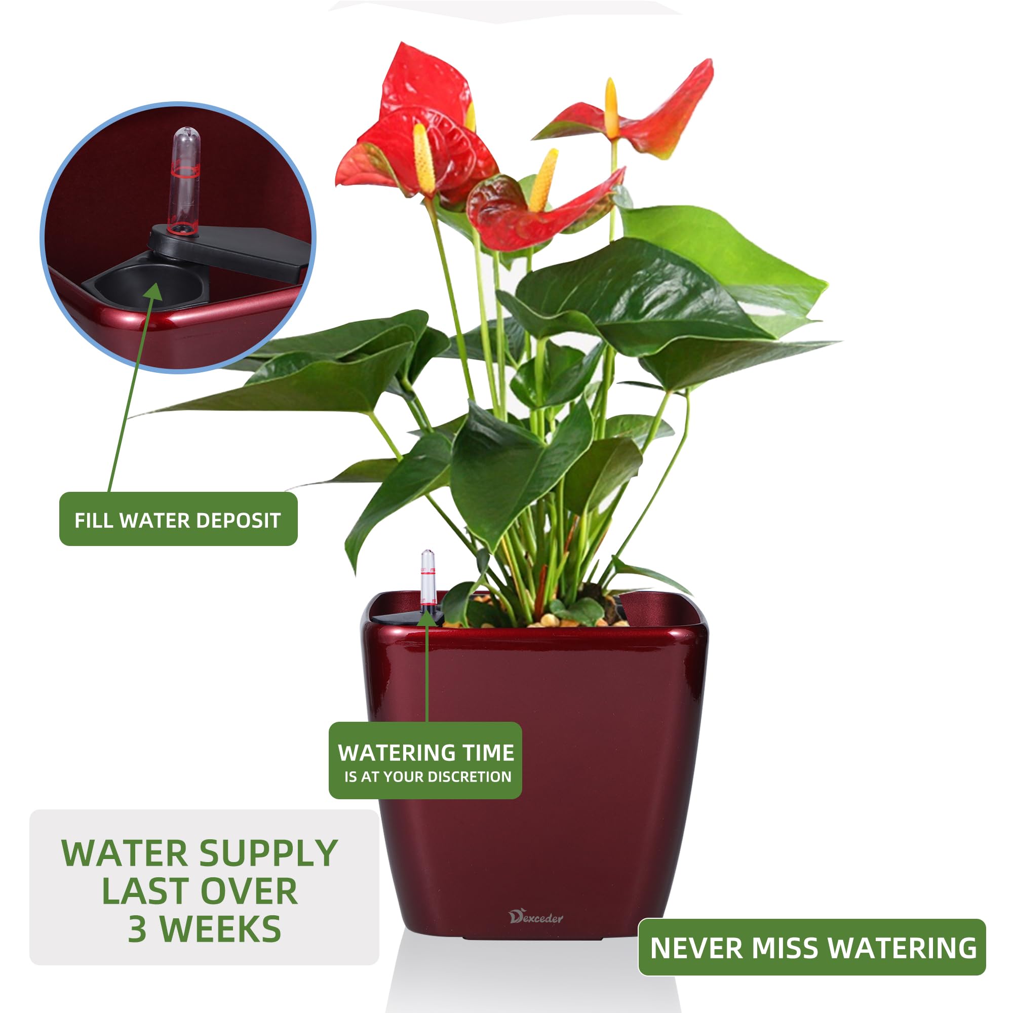 Dexceder 9x8 Self Watering Planter (Black High Gloss) | Inner Mat Design, Thickened Table Flower Plant Pot with Water Level Indicator Indoor Outdoor