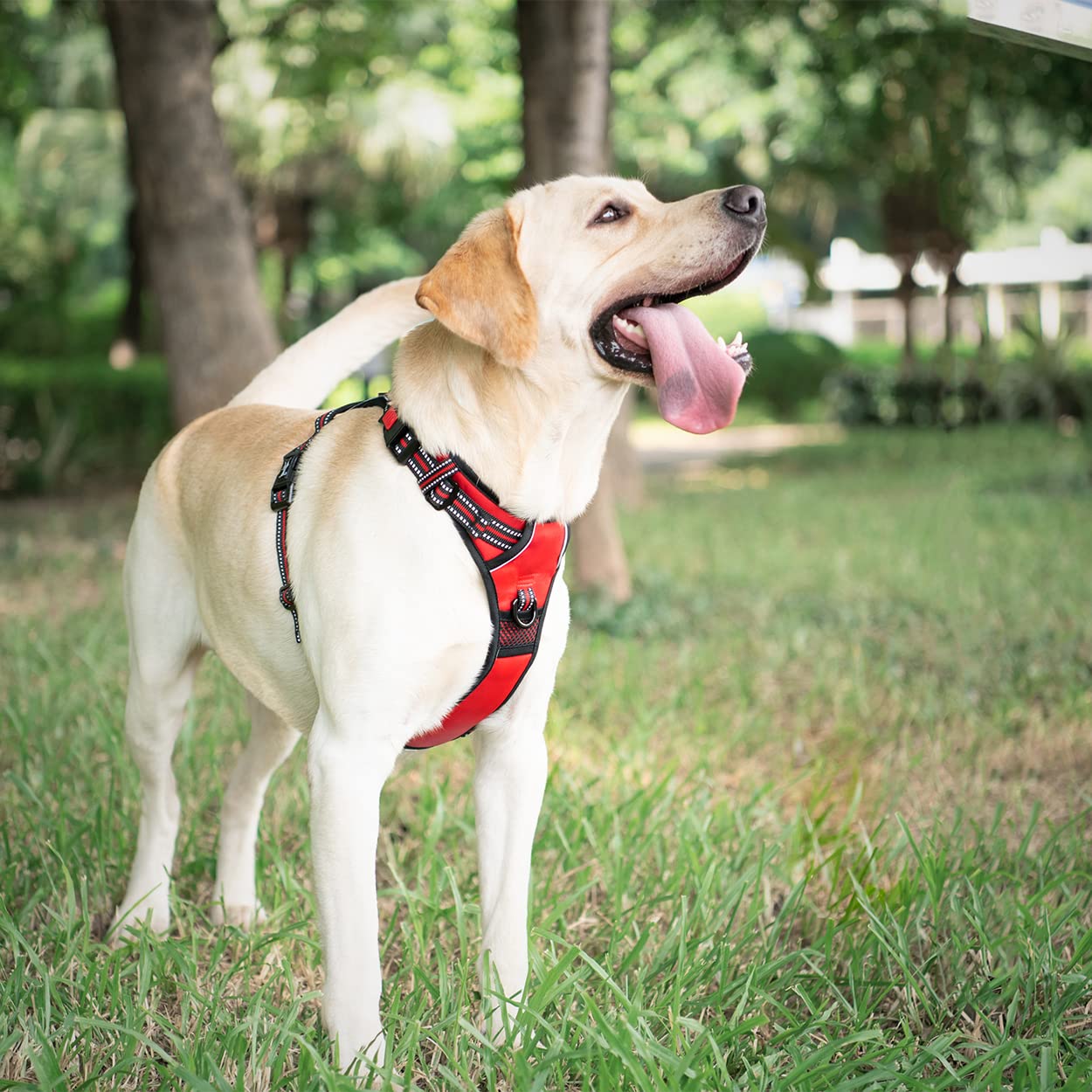 PoyPet Dog Harness No Pull, Reflective Vest Harness with Front & Back 2 Clips and Easy Control Handle for Small Medium Large Dog (XS, Black)