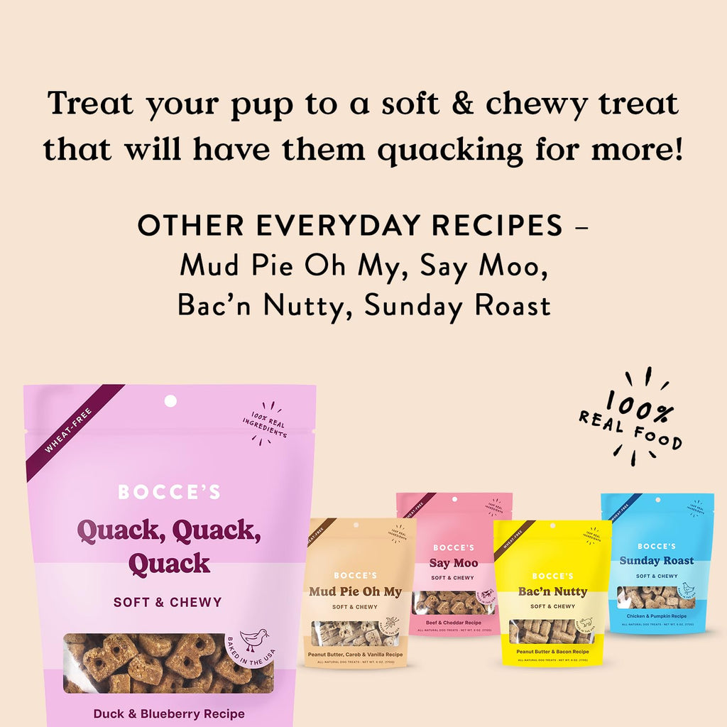 Bocce's Bakery Bac'n Nutty Soft & Chewy Dog Treats, Wheat-Free PB & Bacon Flavored All Natural Limited Ingredient Oven Baked Cookies for Dogs, 6 oz Bag