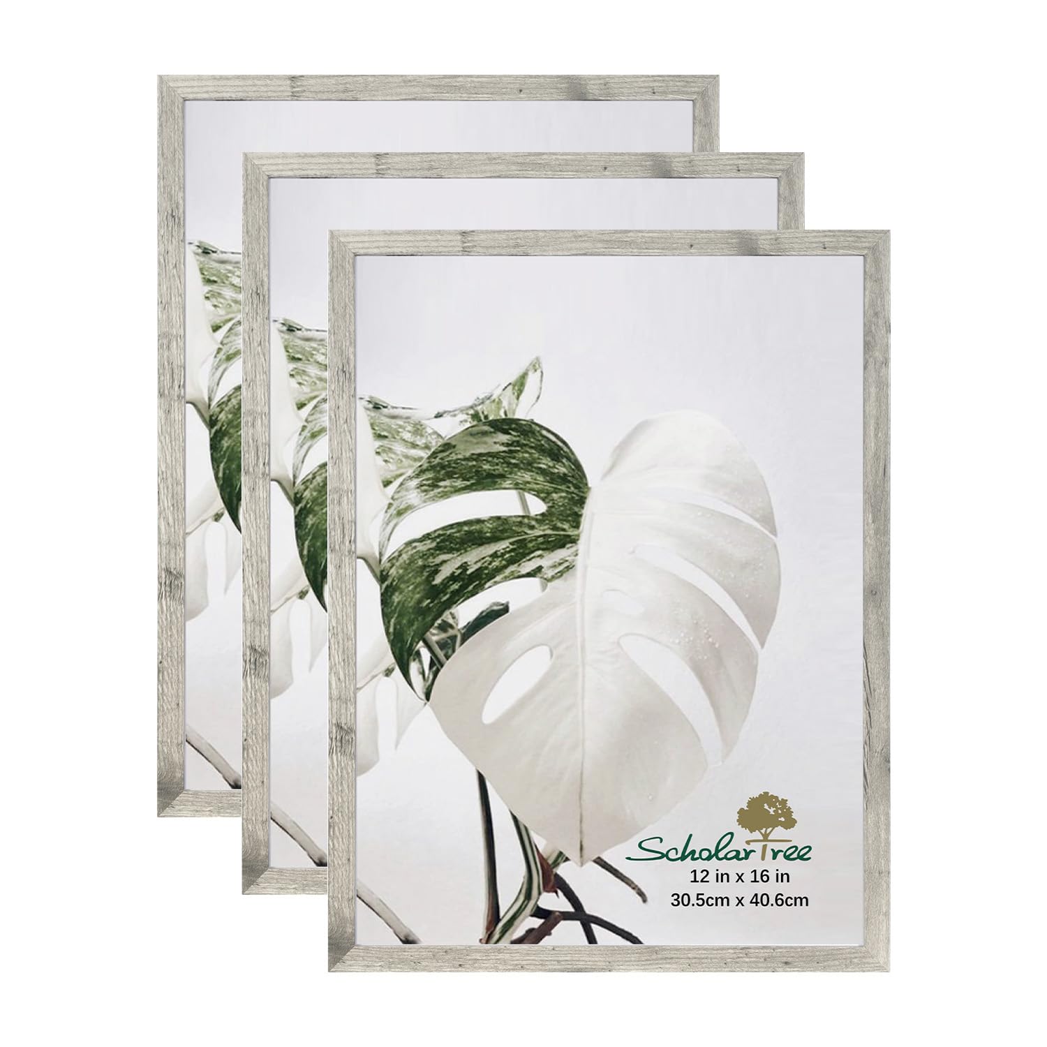 5x7 Picture Frame Gold, Display 5x7 without Mat or 4x6 with Mat, Wall Gallery Photo Frames