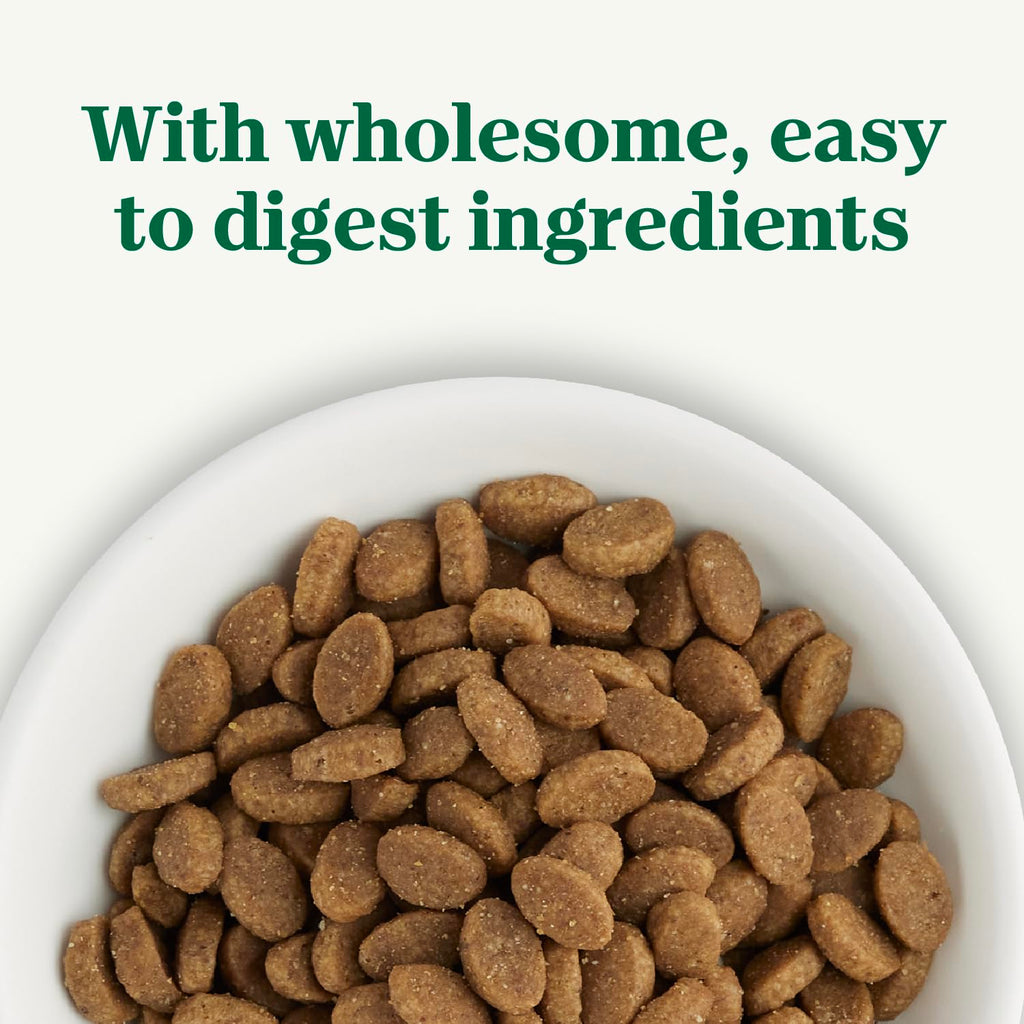 Nutro Wholesome Essentials Natural Dry Cat Food Sensitive Stomach, Chicken, Rice & Peas Recipe Cat Kibble, 3 lb. Bag