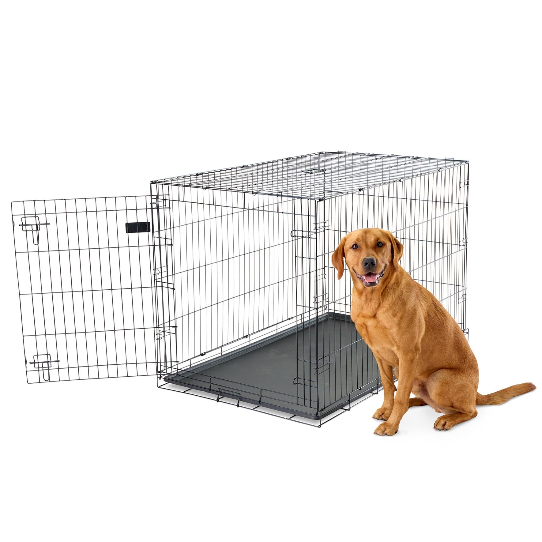 Carlson Secure and Compact Double Door Metal Dog Crate, Medium with Divider Panel