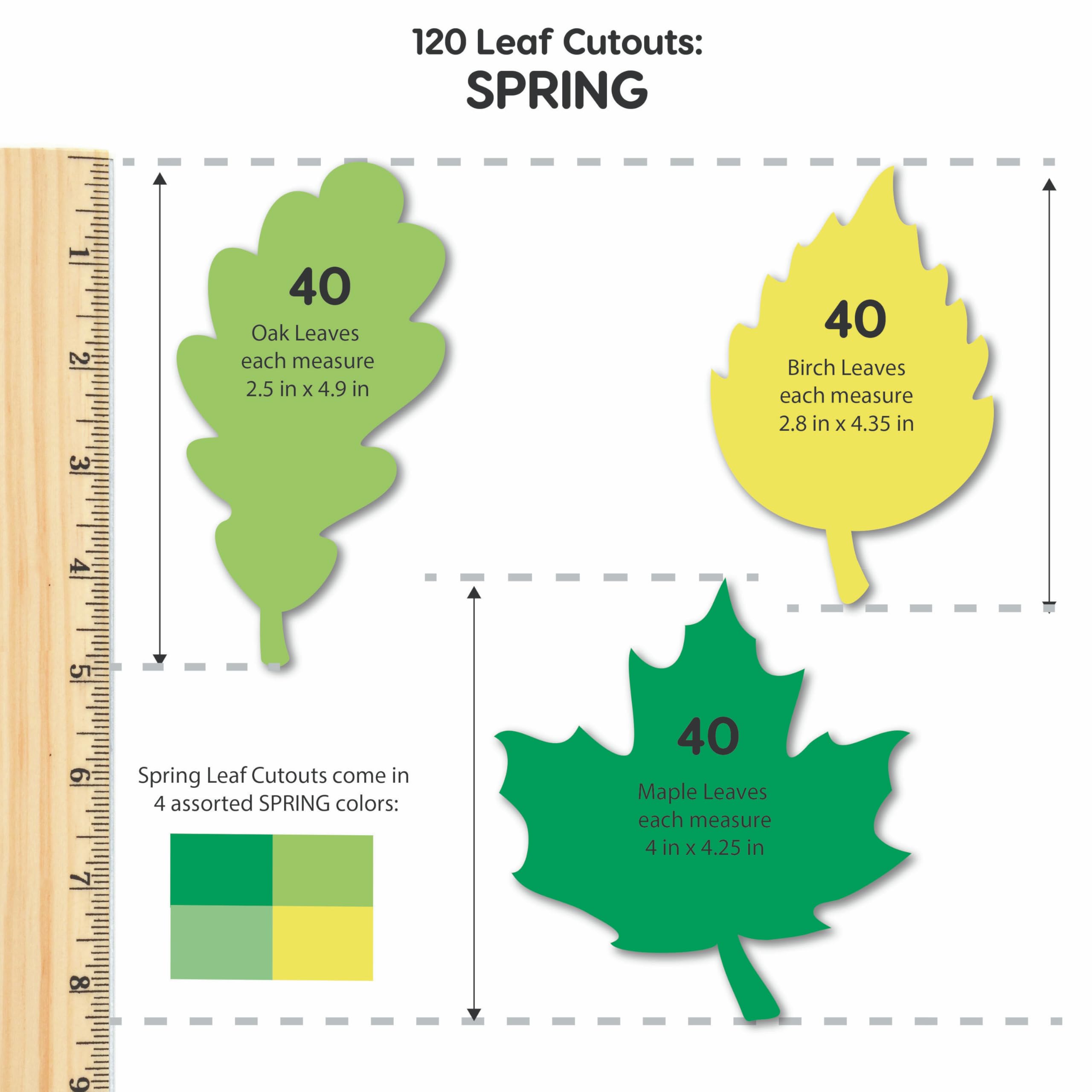 120 Pieces Fall Leaf Paper Cutouts with IDEA Guide, 2-Sided US Made Card Stock Punch Out Maple, Oak, and Birch Leaves for Bulletin Boards, Classroom Decor, Autumn Crafts, DIY Scrapbook, and Posters