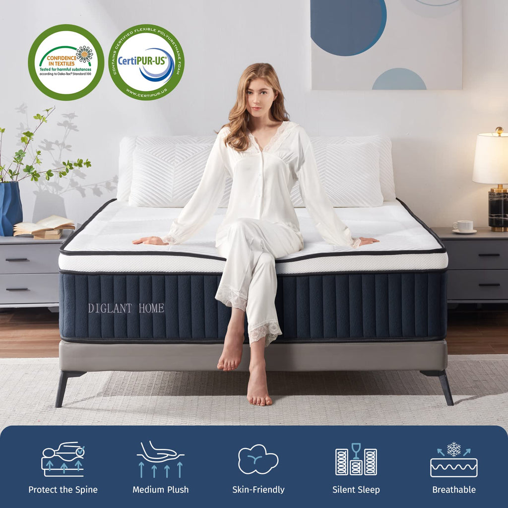 Queen Mattress, DIGLANT 14Inch Euro Top Memory Foam Hybrid Mattress, Medium Plush Feel Pocket Springs Queen Size Mattress for Pressure Relief, Edge Support Mattress in Box, CertiPUR-US, 60"*80"