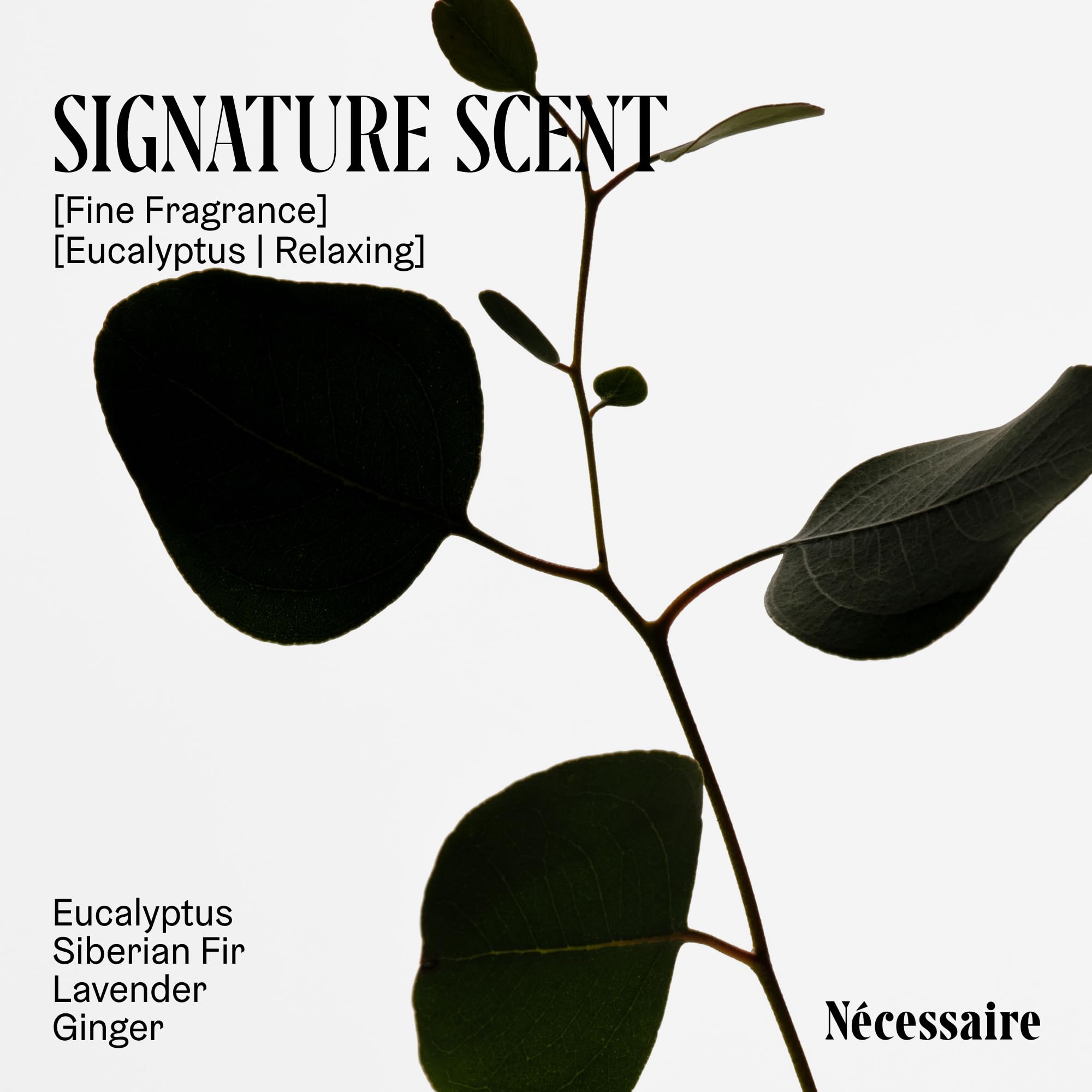 Nécessaire The Body Wash Eucalyptus — Multi-Oil Shower Gel Body Wash for Women + Men. Non-Comedogenic + Hypoallergenic for Sensitive Skin with Niacinamide. 500ml/16.9 fl oz