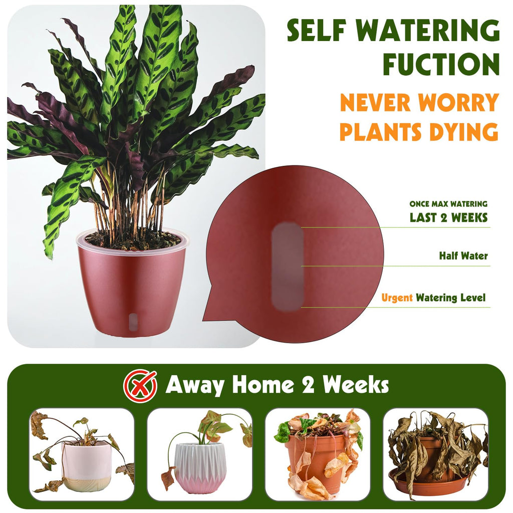 Self-Watering Pots for Indoor Plants, 16-Pack Self Watering Planter with Drainage Holes, Small African Violet Pots with Water Indicator, 10-Pack 5''/6-Pack 6.7'' Orchid Pot, Black