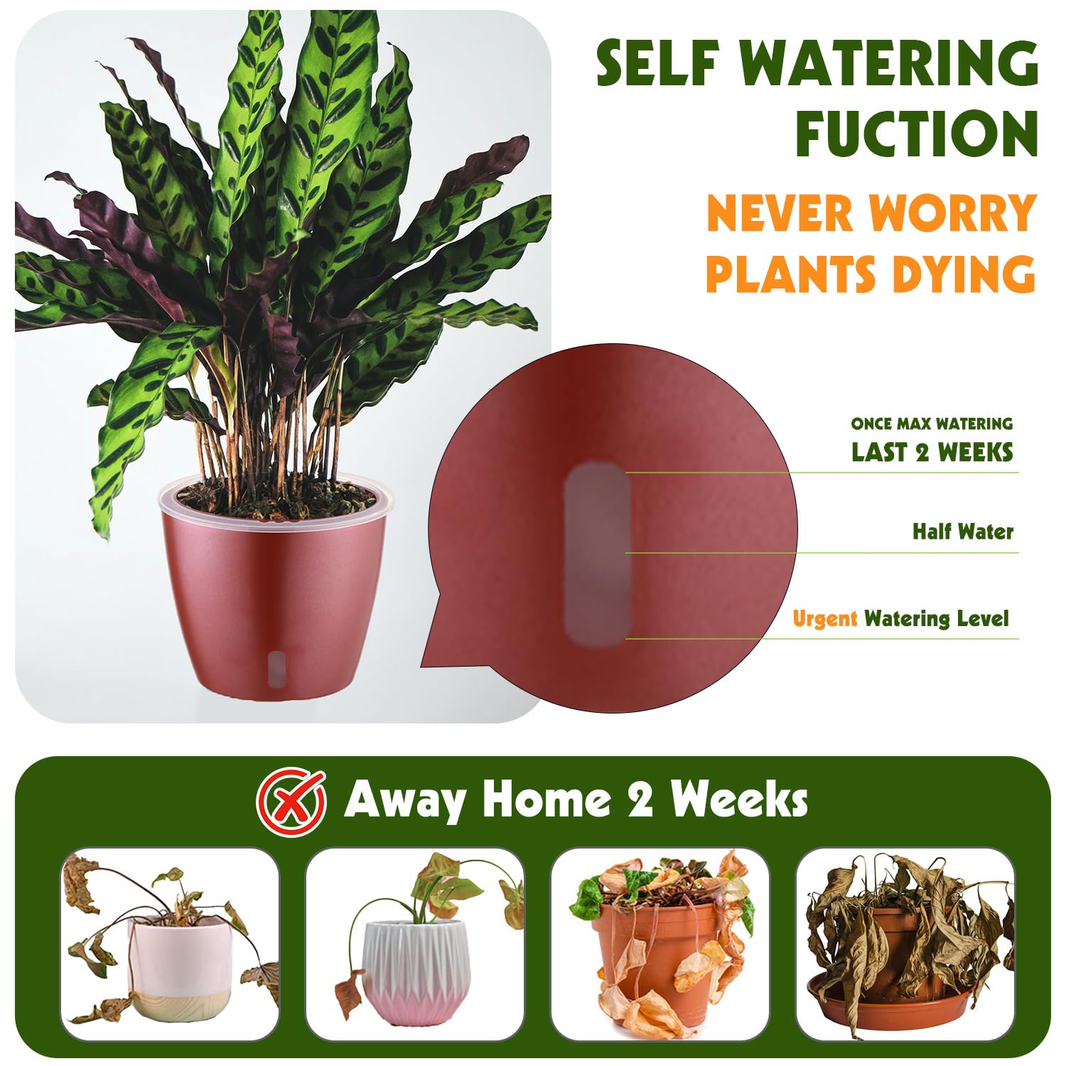 Self-Watering Pots for Indoor Plants, 16-Pack Self Watering Planter with Drainage Holes, Small African Violet Pots with Water Indicator, 10-Pack 5''/6-Pack 6.7'' Orchid Pot, Black
