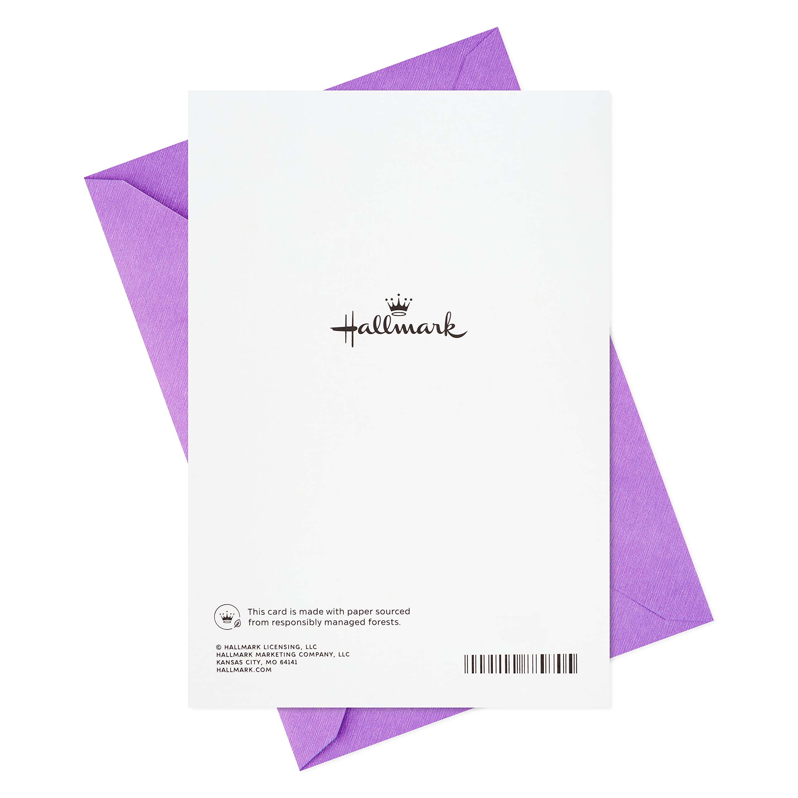 Hallmark Signature Birthday Card (Best Birthday Ever)