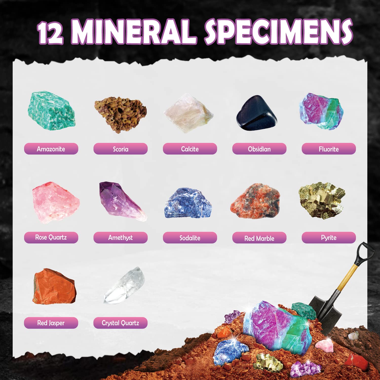 Gamerside Fossil Dig Kit - Educational STEM Science Toys for Kids Ages 6+ - Dig Up 12 Fossils Real & Dinosaur Bones Rocks - Digging Activities Kits - Paleontology, Discovery Gifts for Boys & Girls