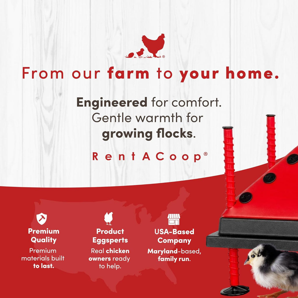 RentACoop 10x10” Adjustable Heating Plate with Bonus Foldable Anti-Roost Cone for up to 15 Chicks | Chick Brooder Heat Plate – Energy-Efficient 15-Watt Chick Heater - Safer Than Heat Lamps