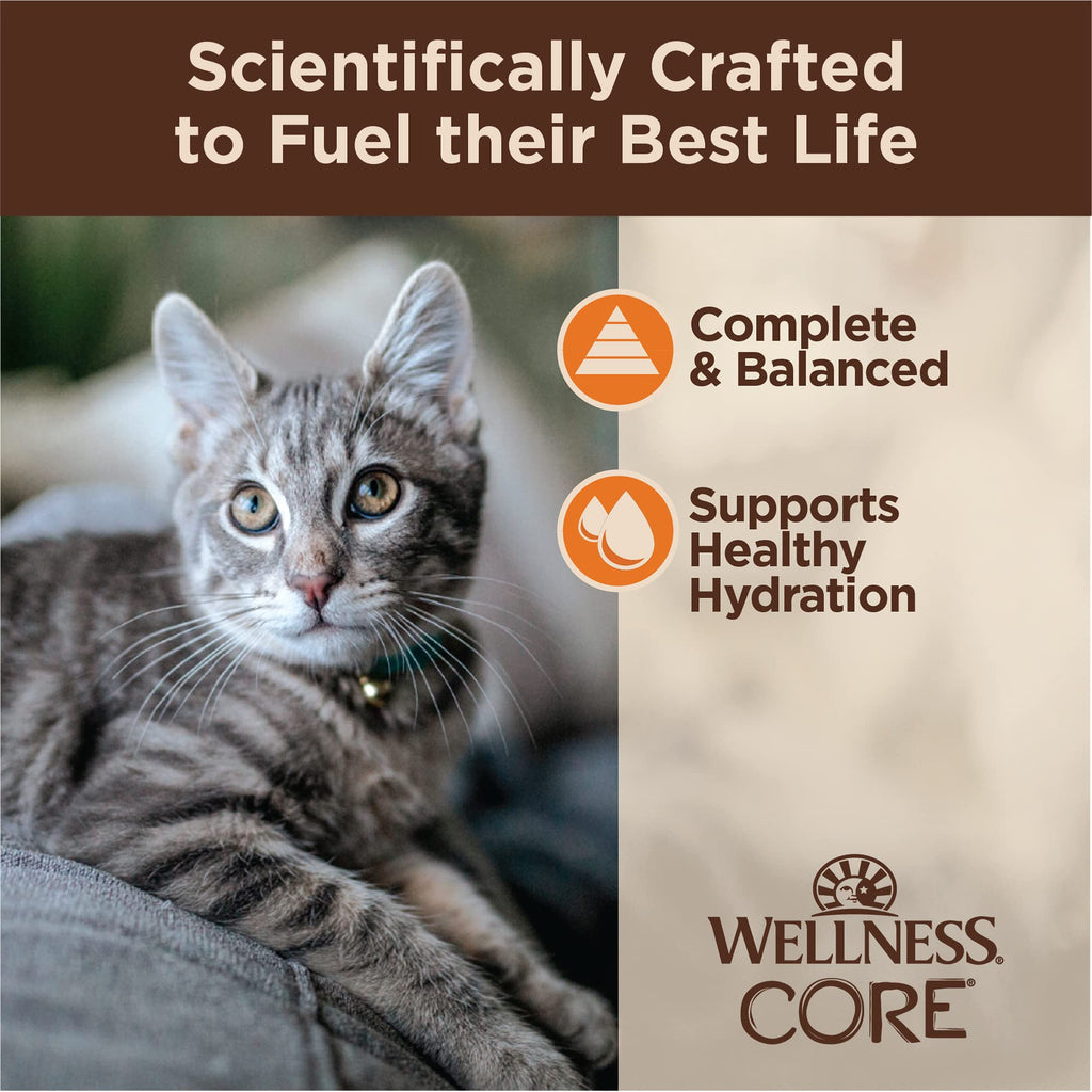 Wellness CORE Tiny Tasters Pate Adult Wet Cat Food, Natural, Protein Rich, Grain Free, Chicken Recipe, 1.75 oz, Pack of 12 Pouches