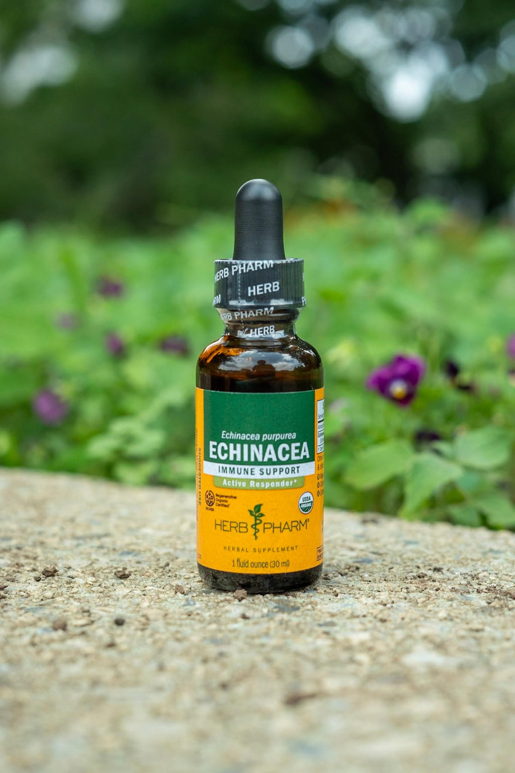 Herb Pharm Echinacea Alcohol-Free Extract: Immune System Support for All Seasons | Fast-Absorbing Echinacea Root Organic Supplement | Non-GMO, Vegan & Gluten-Free | Glycerite Liquid | 1 oz
