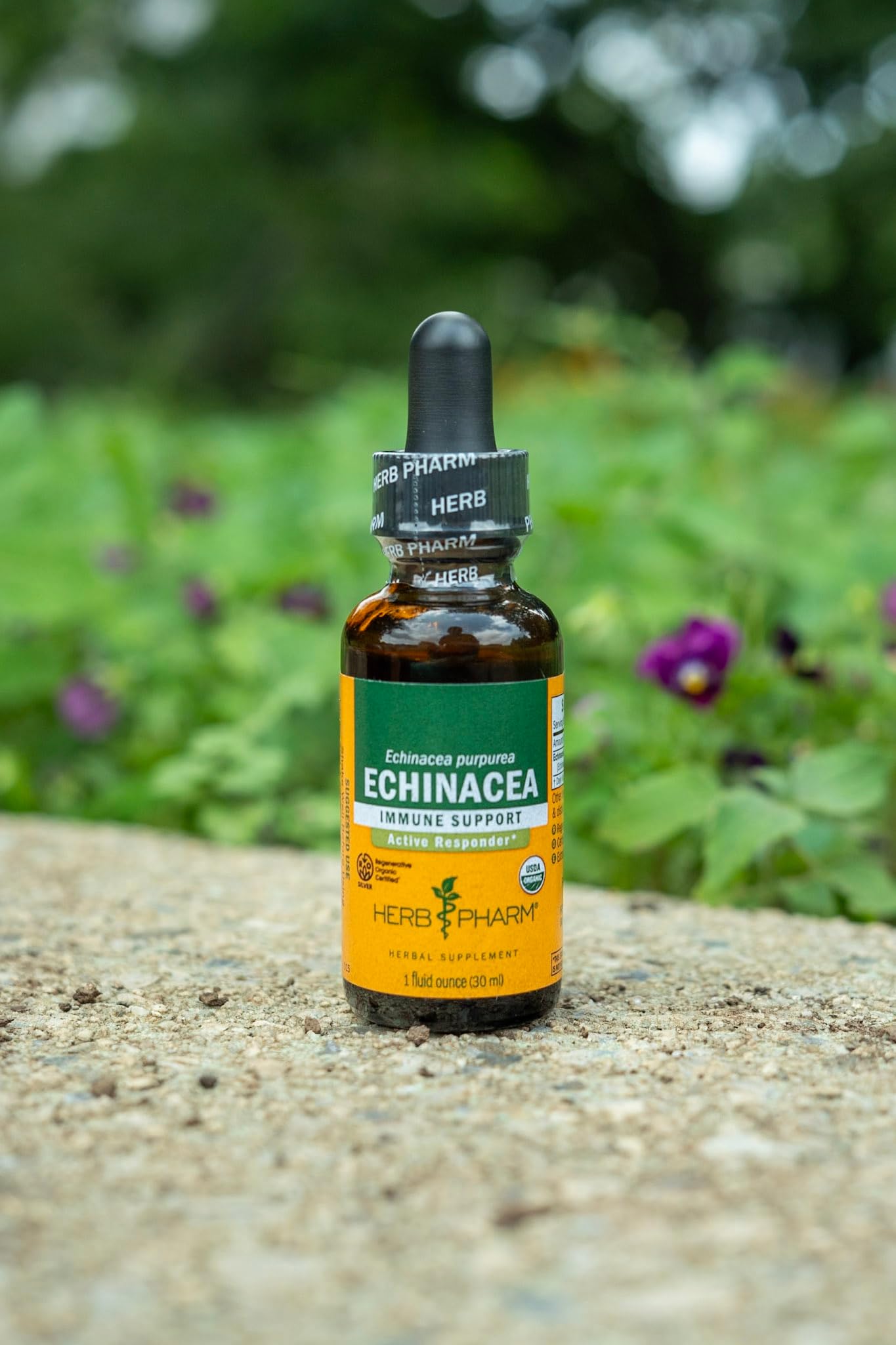 Herb Pharm Echinacea Alcohol-Free Extract: Immune System Support for All Seasons | Fast-Absorbing Echinacea Root Organic Supplement | Non-GMO, Vegan & Gluten-Free | Glycerite Liquid | 1 oz