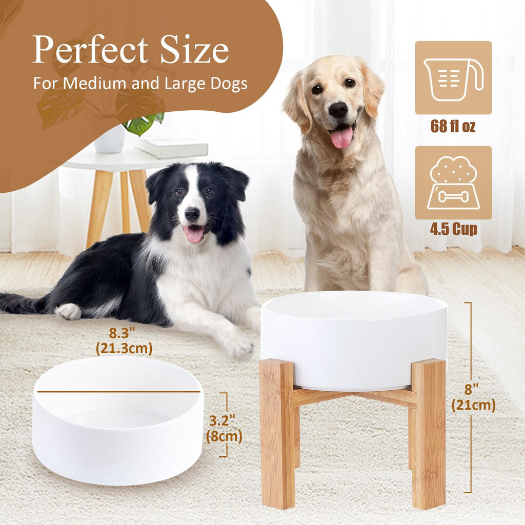 Raised Ceramic Cat Bowl - Cat Food Bowl with Bamboo Stand - Elevated Dog Food Dish for Puppies - Comfort Eating - 13.5 oz - 400 ml - Green