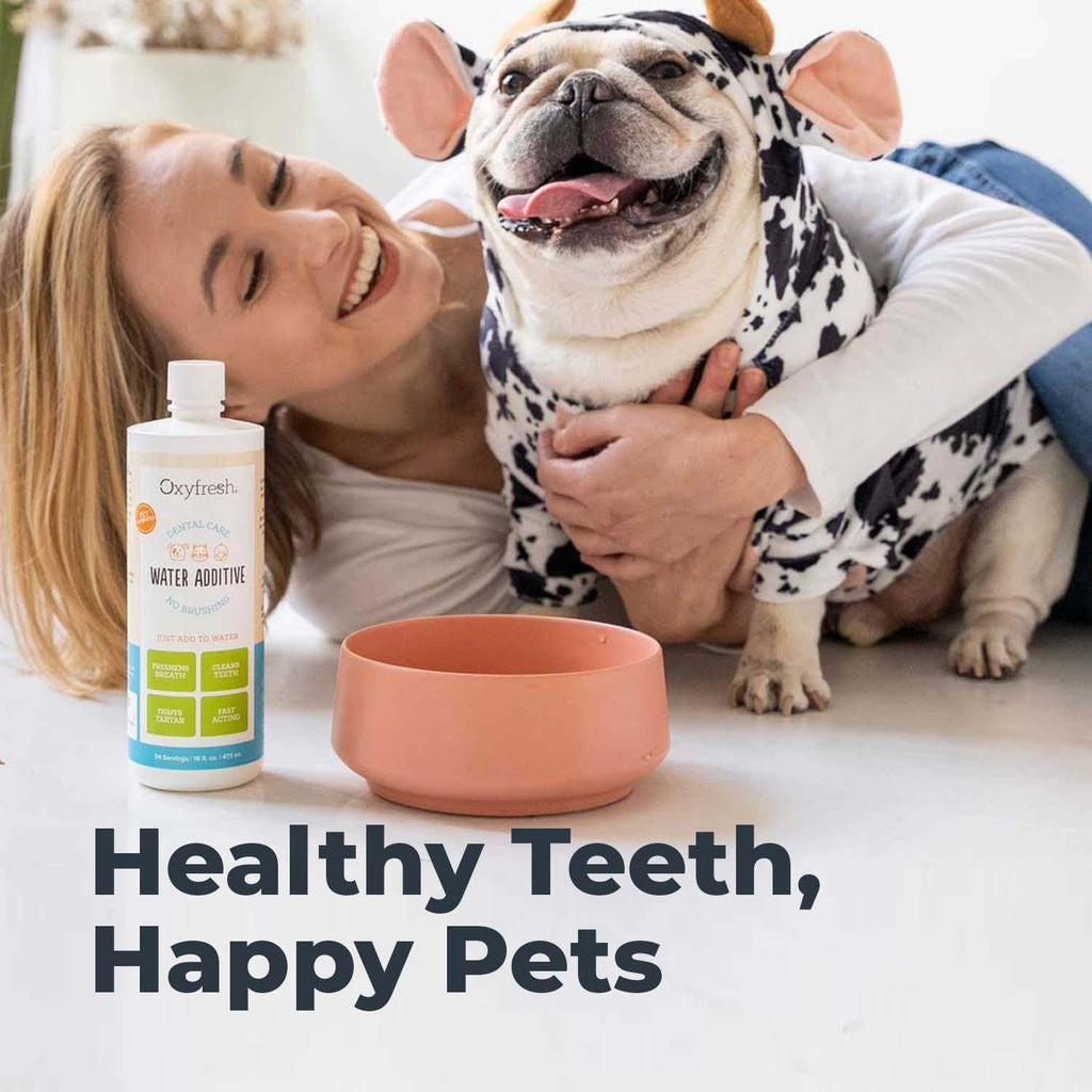 Oxyfresh Premium Pet Dental Care Solution Pet Water Additive: Best Way to Eliminate Bad Dog Breath and Cat Bad Breath - Fights Tartar & Plaque - So Easy, Just Add to Water! Vet Recommended 128 oz.