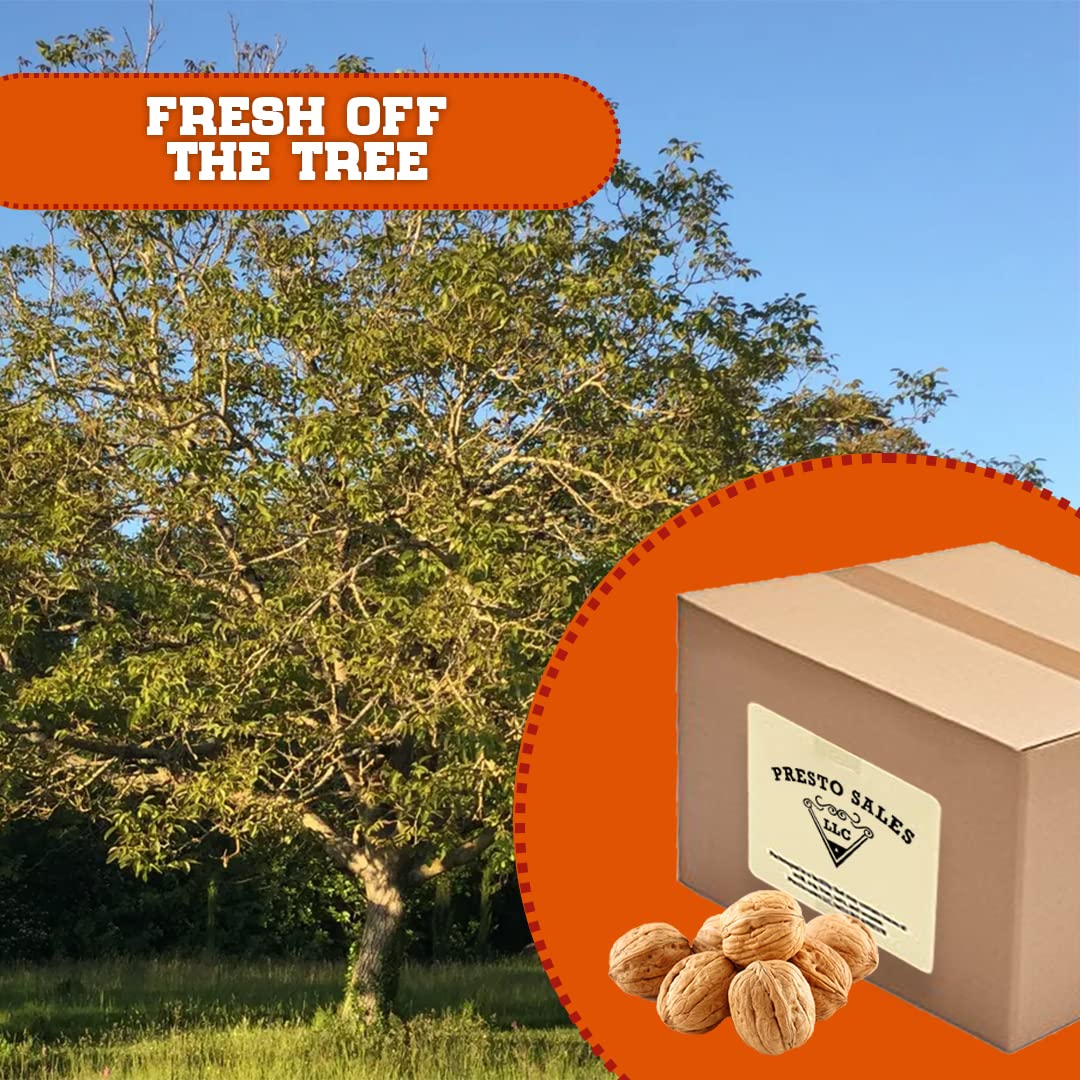 Presto Sales Walnuts “Current New Crop" In Shell Huge Hartley Choice Nut, Grown in California - Packed in a 3 lbs (48 oz.) Resealable Pouch Bag - Low-Carb, High-Protein.
