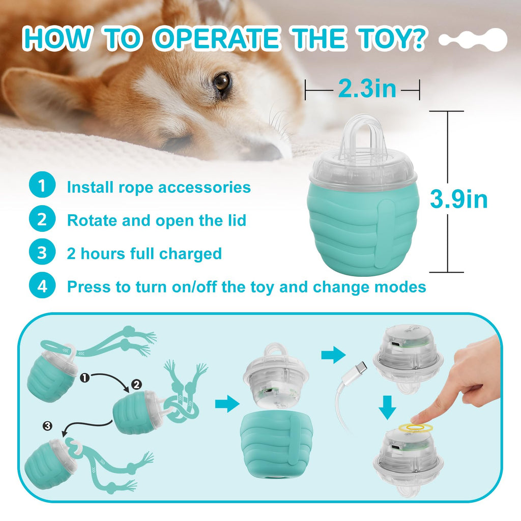 Interactive Dog Toy, [Newly Upgraded] Motion Activated Rolling Squeaky Ball for Medium/Large Dogs, Automatic Moving Dogs Ball for Boredom, USB Rechargeable(Cyan)