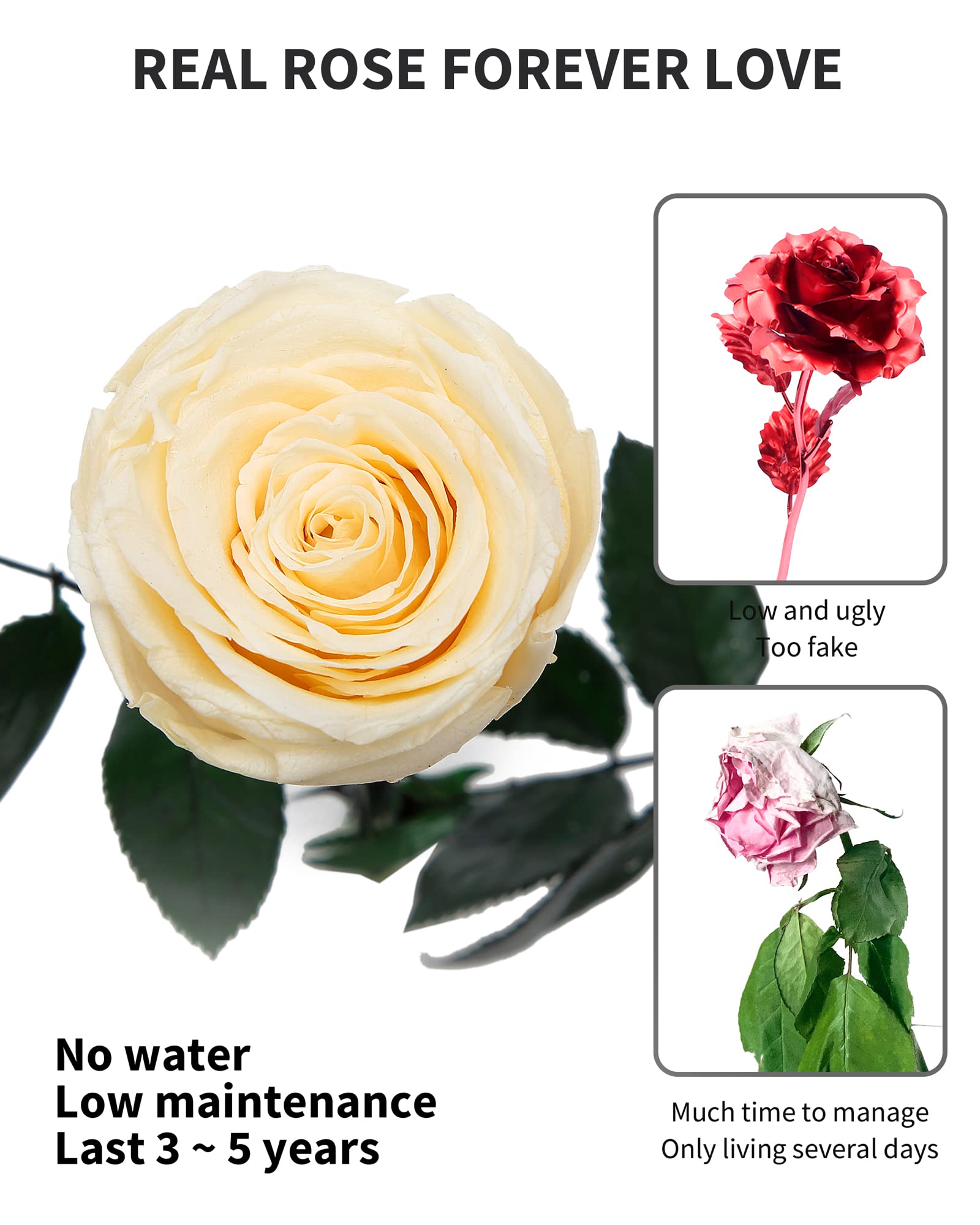 Flowers for Delivery Prime, Preserved Roses Flower Gifts for Women, Real Roses Single Rose Presents for Her, Mom Birthday Gifts from Daughter, Valentines Flowers Red Roses