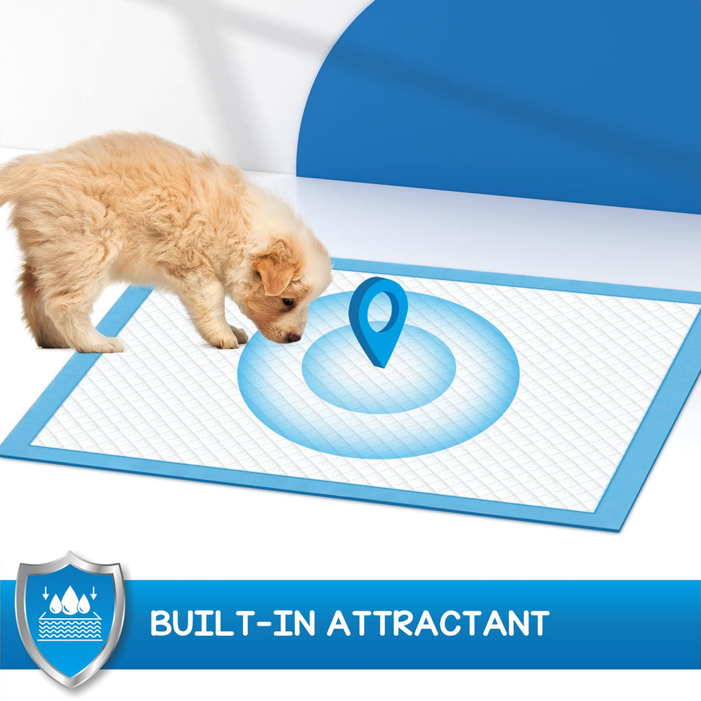 CROCI Dog Pee Pads Extra Large 30x36in, Puppy Pads XL with Adhesive Tabs, XL Pee Pads for Large Dogs, Super Absorbent Up to 8 Cups, Leak-Proof & Quick-Dry, Disposable (40 Counts)