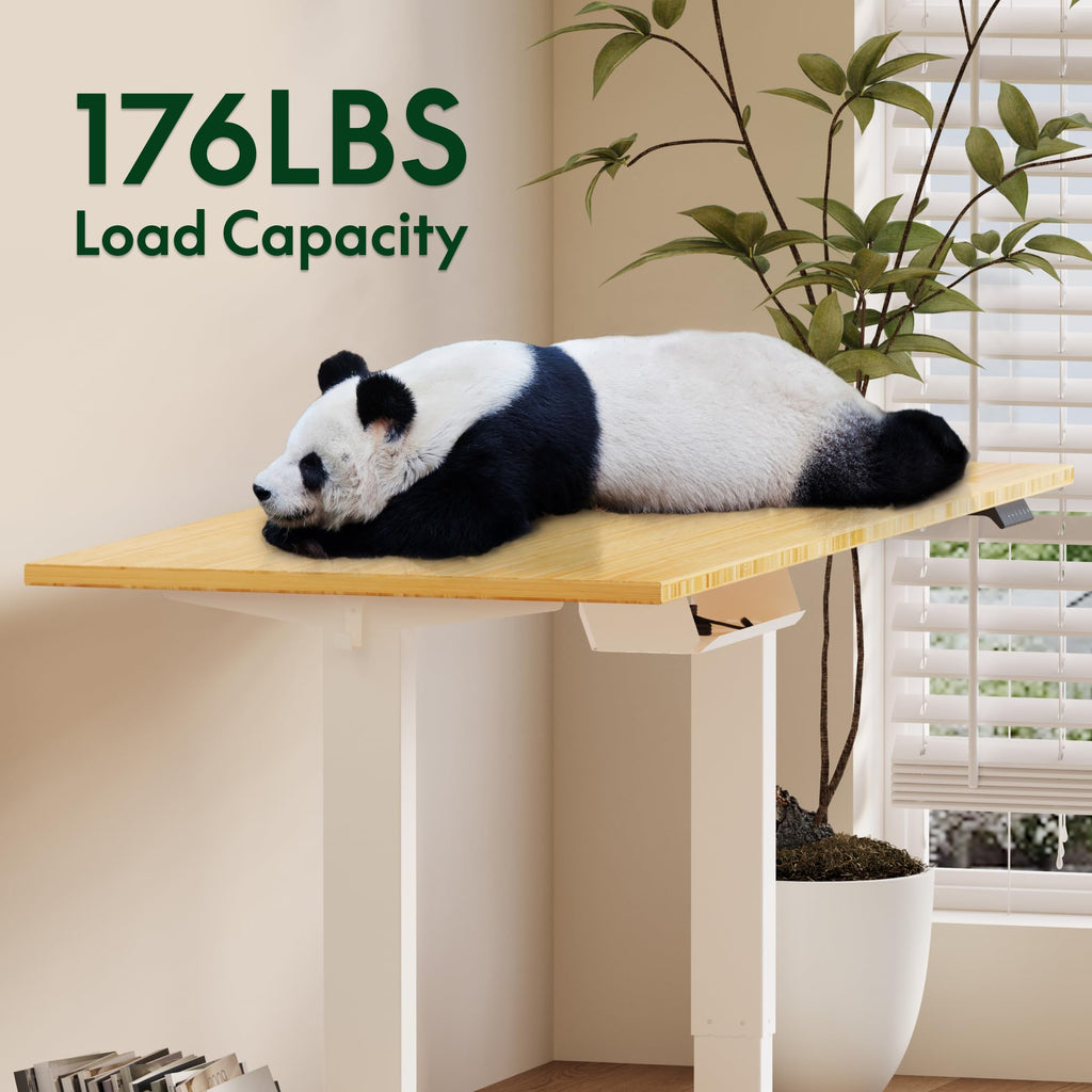 FLEXISPOT EN2 Whole-Piece Standing Desk with Clamp Power Strip, 40 x 24'' Electric Stand Up Height Adjustable Desk with Cable Management (Black Frame + 40" Black Top)