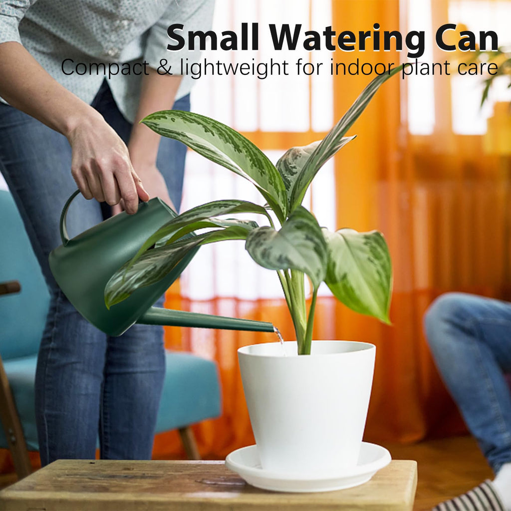60 oz Watering Can for Indoor Plants, Small Plastic Watering Cans with Removable Nozzle, Long Spout Indoor Water Can for House Plants, Garden Flowers (1.8L 1/2 Gal)