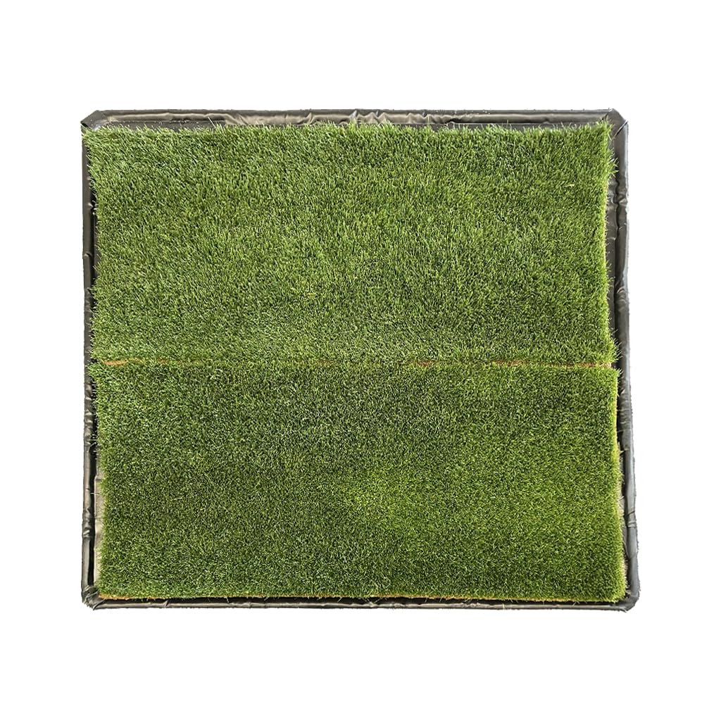 DoggieLawn XL - Real Grass Disposable Potty Training Puppy Pee Pads, Dog Grass Pee Pad, Potty Training Pee Pad, Puppy and Dogs Grass Pee Pads, Puppy Grass Pads, 48 x 24 Inches with Reusable FlexTray