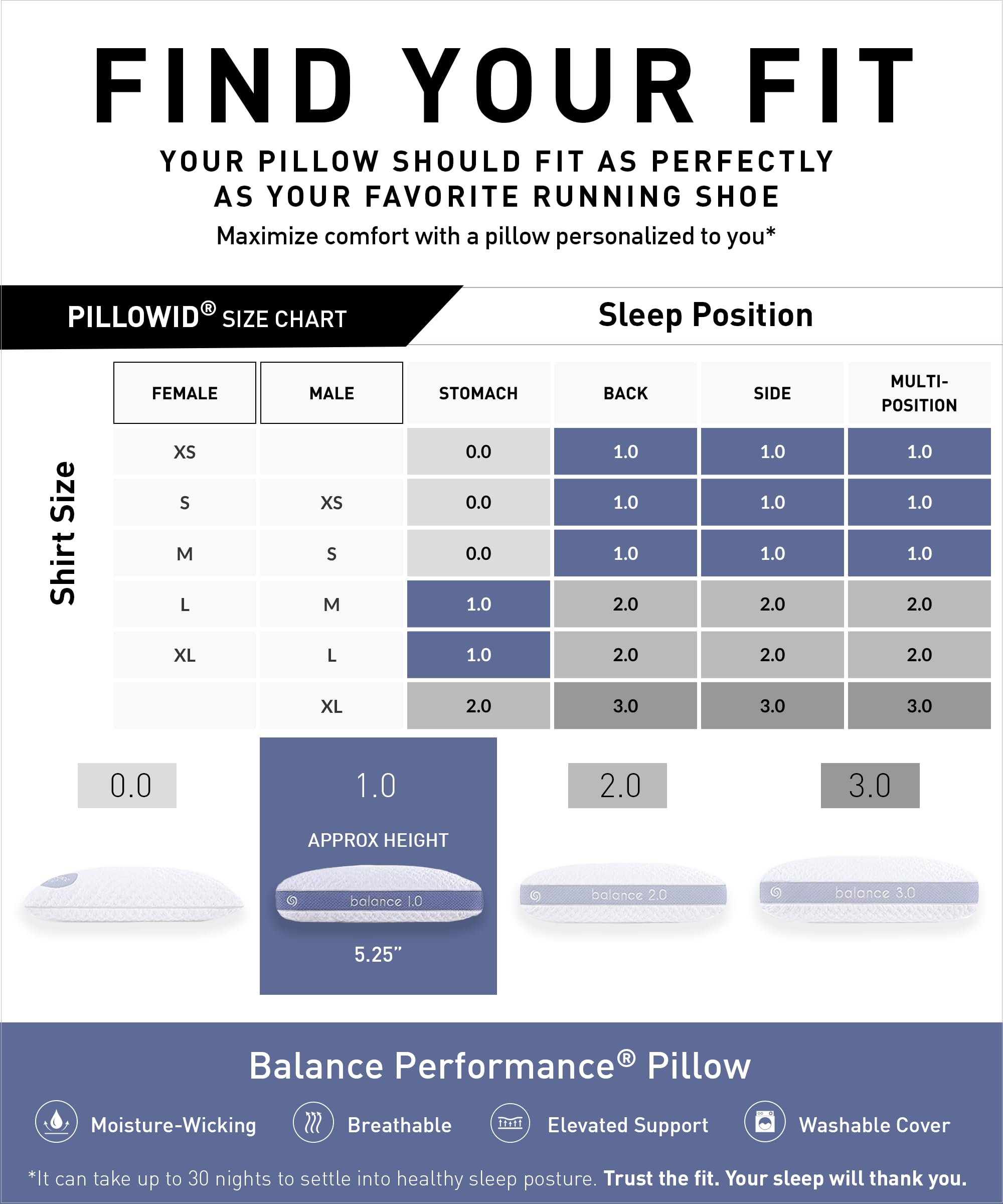 Bedgear Balance 1.0 Performance Pillow, Medium Support Bed Pillow for All Sleep Positions | Boost Blend Fill with Responsive Comfort & Air-X Mesh Ventilation | Washable Hypoallergenic Pillow