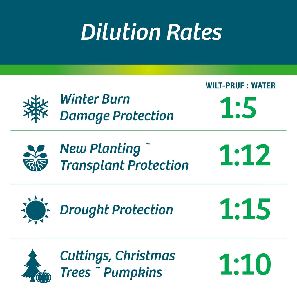 Wilt-Pruf® Concentrate | Protect Against Winter Damage, Drought, and Stress | Just Spray & Let Dry | Locks in Moisture w/Clear Foliar Film | Professional-Grade & Trusted | Replaces Burlap | (1 Gal)