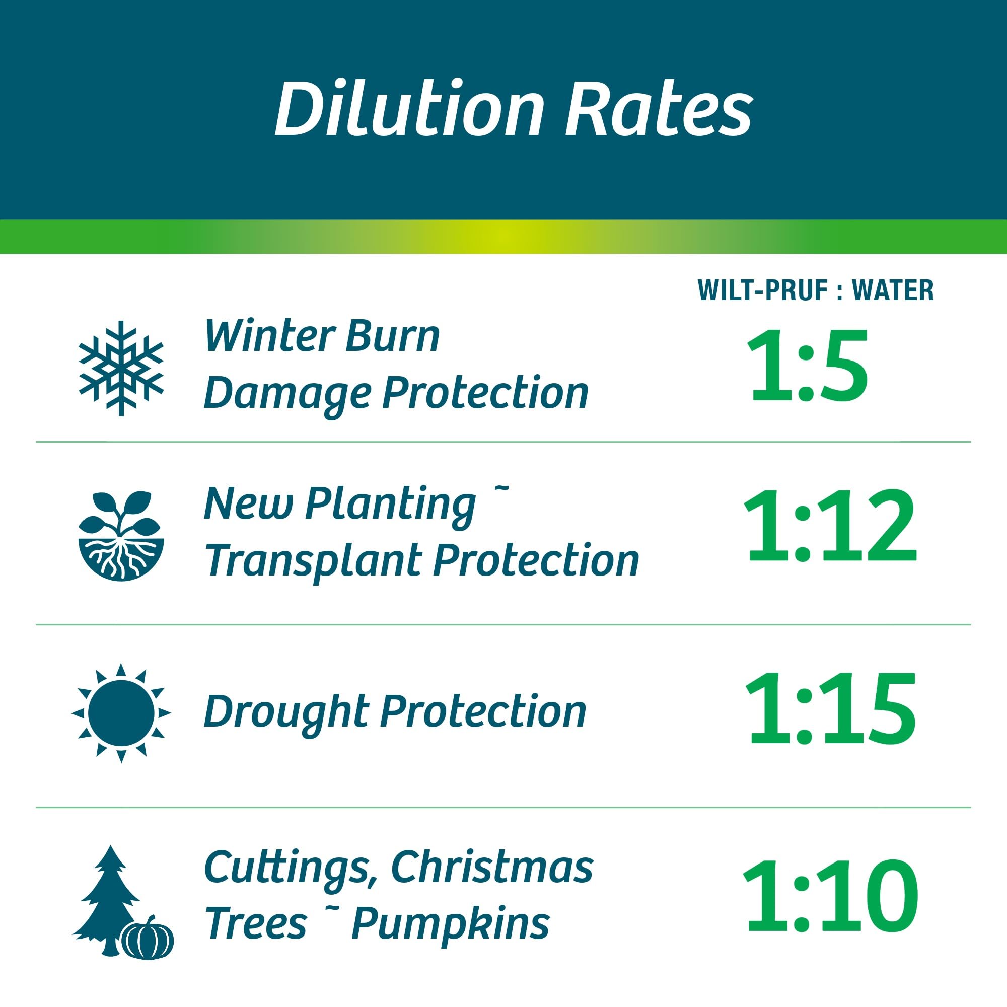 Wilt-Pruf® Concentrate | Protect Against Winter Damage, Drought, and Stress | Just Spray & Let Dry | Locks in Moisture w/Clear Foliar Film | Professional-Grade & Trusted | Replaces Burlap | (1 Gal)