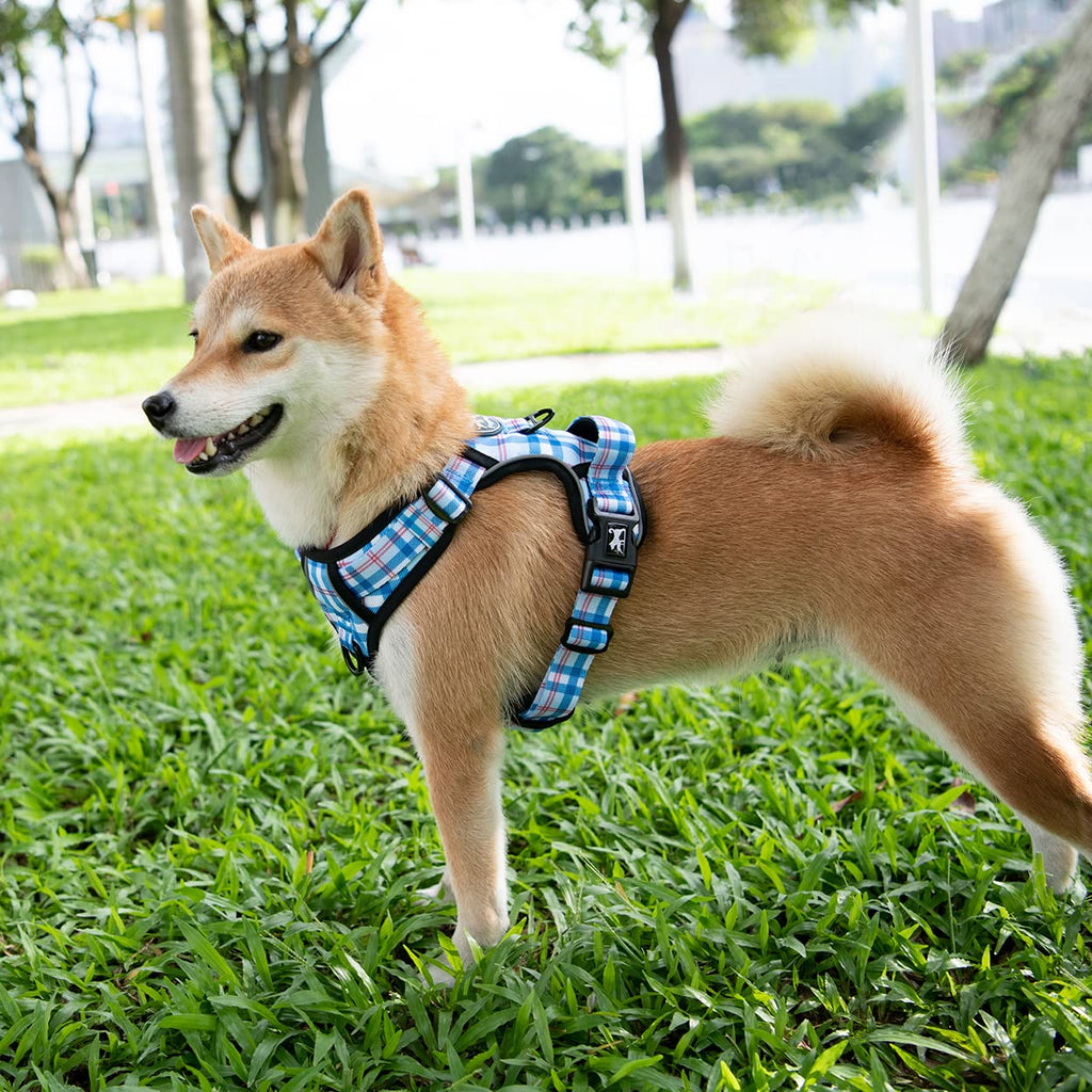 PoyPet Dog Harness No Pull, Reflective Vest Harness with Front & Back 2 Clips and Easy Control Handle for Small Medium Large Dog (XS, Black)