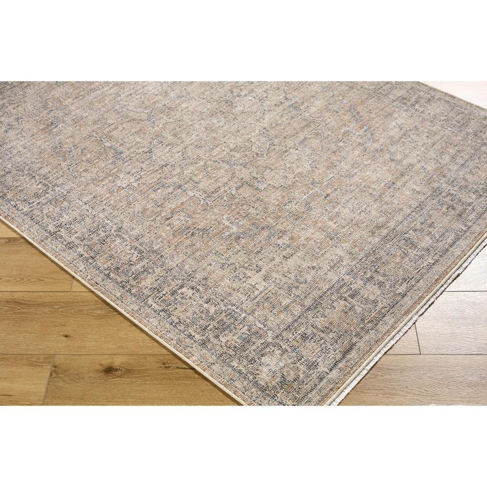Livabliss x Galey Alix Maria Elena III Vintage Medallion Area Rug, 5'3" x 7' (5' x 7'), Brown