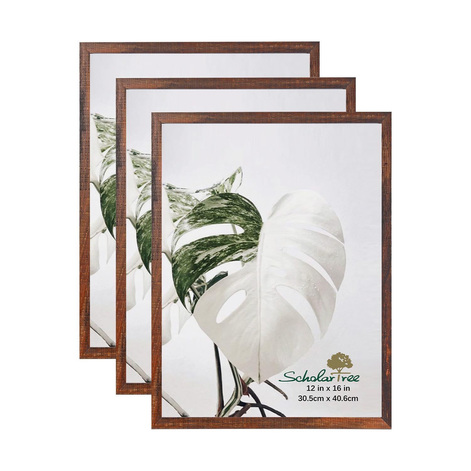 5x7 Picture Frame Gold, Display 5x7 without Mat or 4x6 with Mat, Wall Gallery Photo Frames