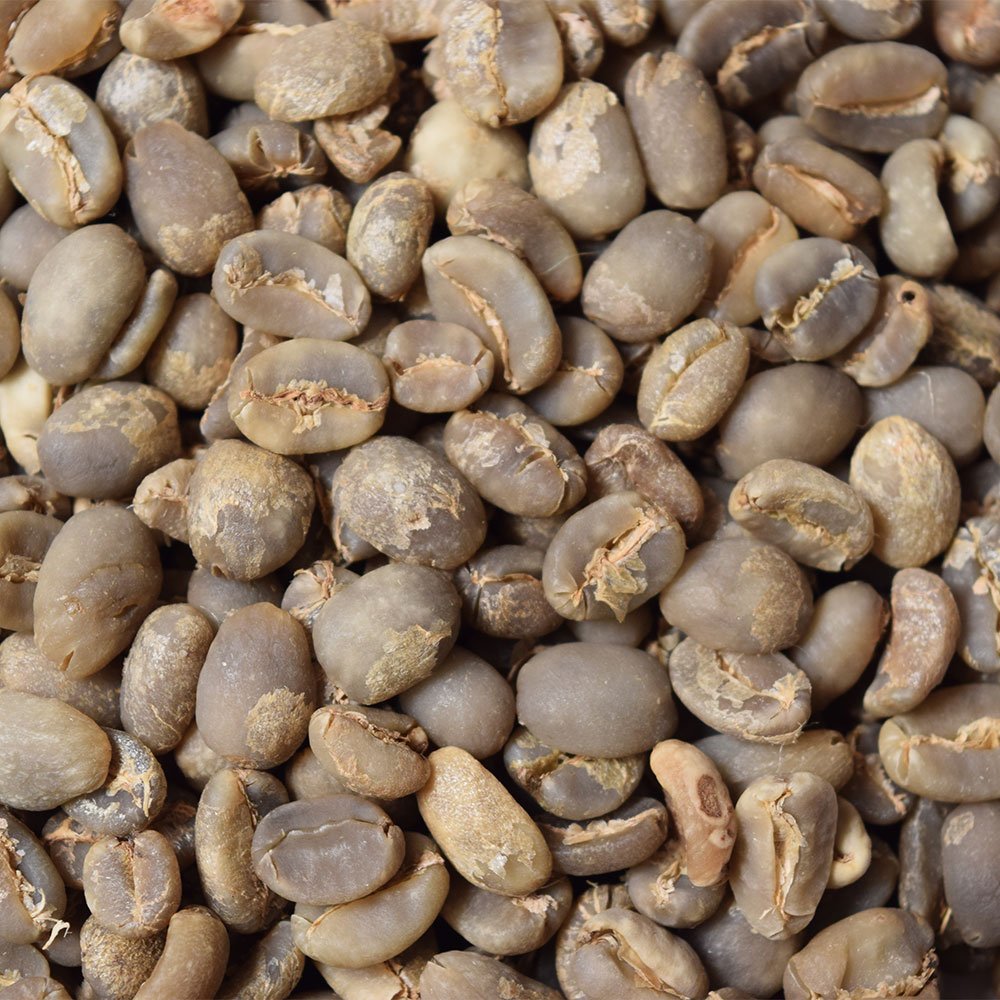 Fresh Roasted Coffee, Adventurer Unroasted Green Coffee Beans Home Roasting Starter Kit, Variety 4-Pack, Kosher, 4 lb (Four 1 lb Bags)