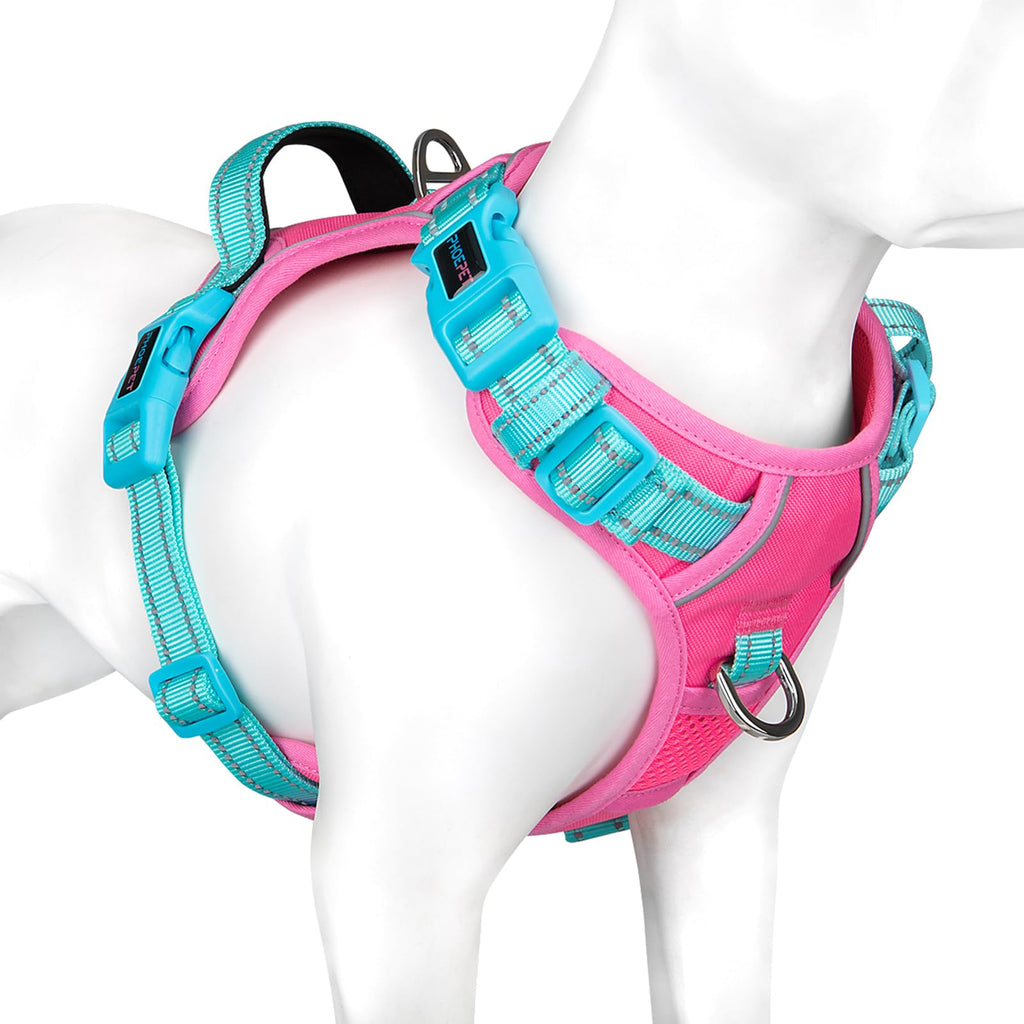 PHOEPET No Pull Dog Harness, Unique Colors Reflective Adjustable Dog Vest, with Soft Training Handle Metal Clips for Small Medium Large Dogs (Baby Blue Base & Pink Straps,S)
