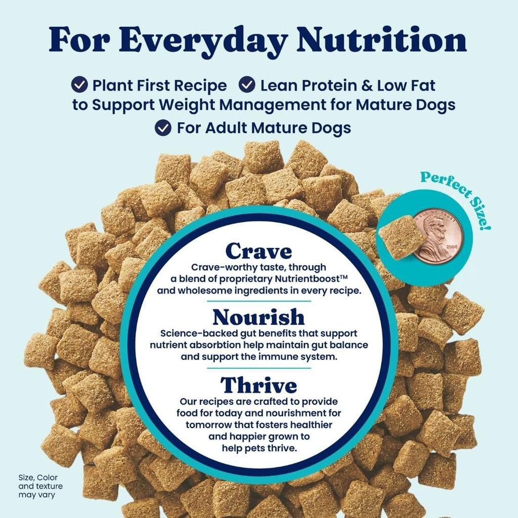 Solid Gold Toy & Small Breed Dry Dog Food Small Bites – Real Beef, Grain Free, Gluten Free, High Fiber Kibble with Probiotics for Gut Health & Digestion Support – Healthy Dog Food All Ages – 4LB