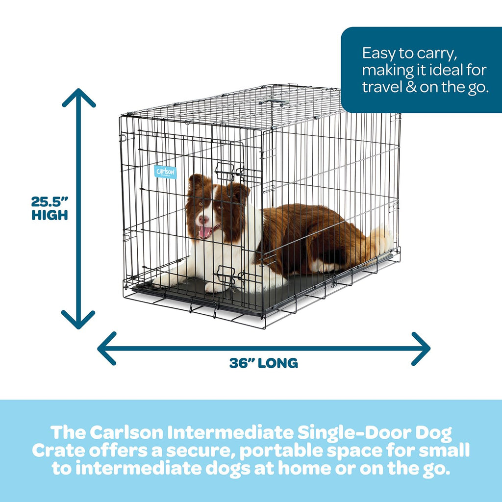 Carlson Secure and Compact Double Door Metal Dog Crate, Medium with Divider Panel