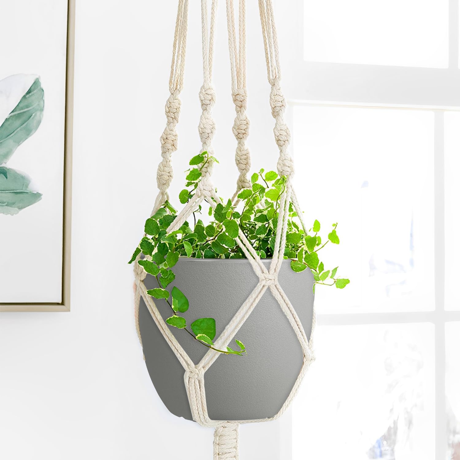 Ferlypote Plant Pots 8 Inch Set of 2, Flower Pots with Multi Mesh Drainage Holes, Planters for Indoor Outdoor Garden Plants and Flowers (Black)