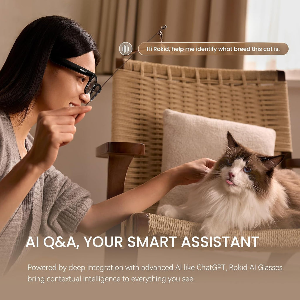 Rokid Ai Glasses Style (Non-Display), 2026 Smart Audio Sun Glasses with ChatGPT & Gemini, Real-Time Translation, 12MP Camera, Voice-Controlled Assistant, Hands-Free Calls, Productivity for Travel