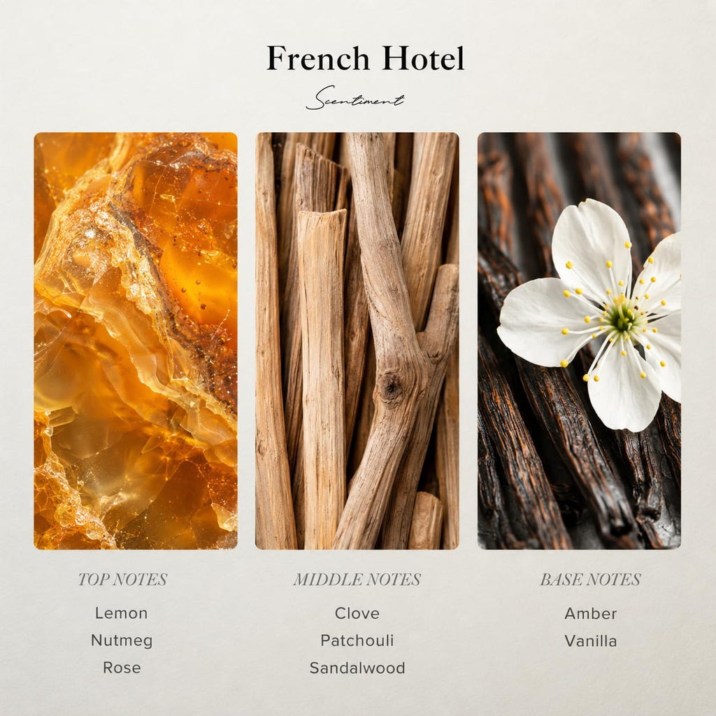Scentiment French Hotel Diffuser Oil - Premium Hotel Scent with Notes of Clove, Patchouli & Sandalwood Home Scent, Aromatherapy Fragrance Oil Diffuser Refill - 0.68 fl oz (20 mL)