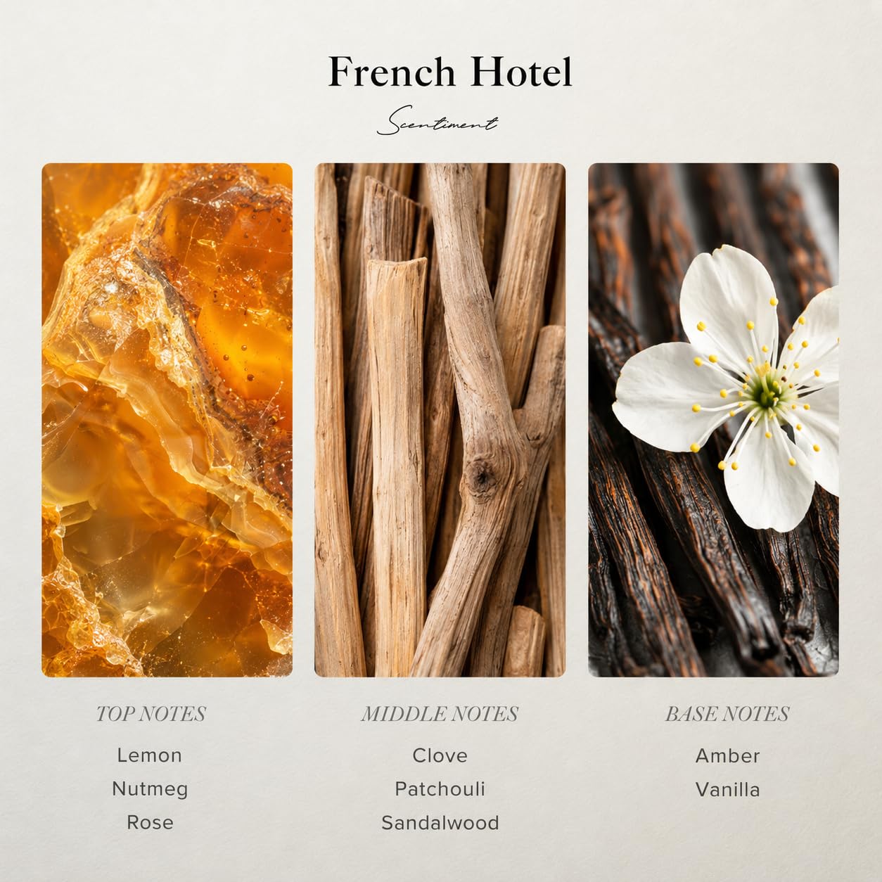 Scentiment French Hotel Diffuser Oil - Premium Hotel Scent with Notes of Clove, Patchouli & Sandalwood Home Scent, Aromatherapy Fragrance Oil Diffuser Refill - 0.68 fl oz (20 mL)