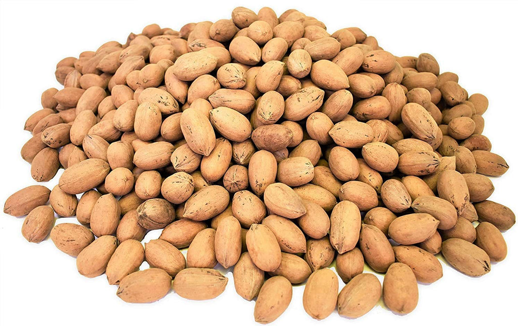 Anna and Sarah Premium Georgian Raw Fresh Pecans in Shell, 2 Lbs