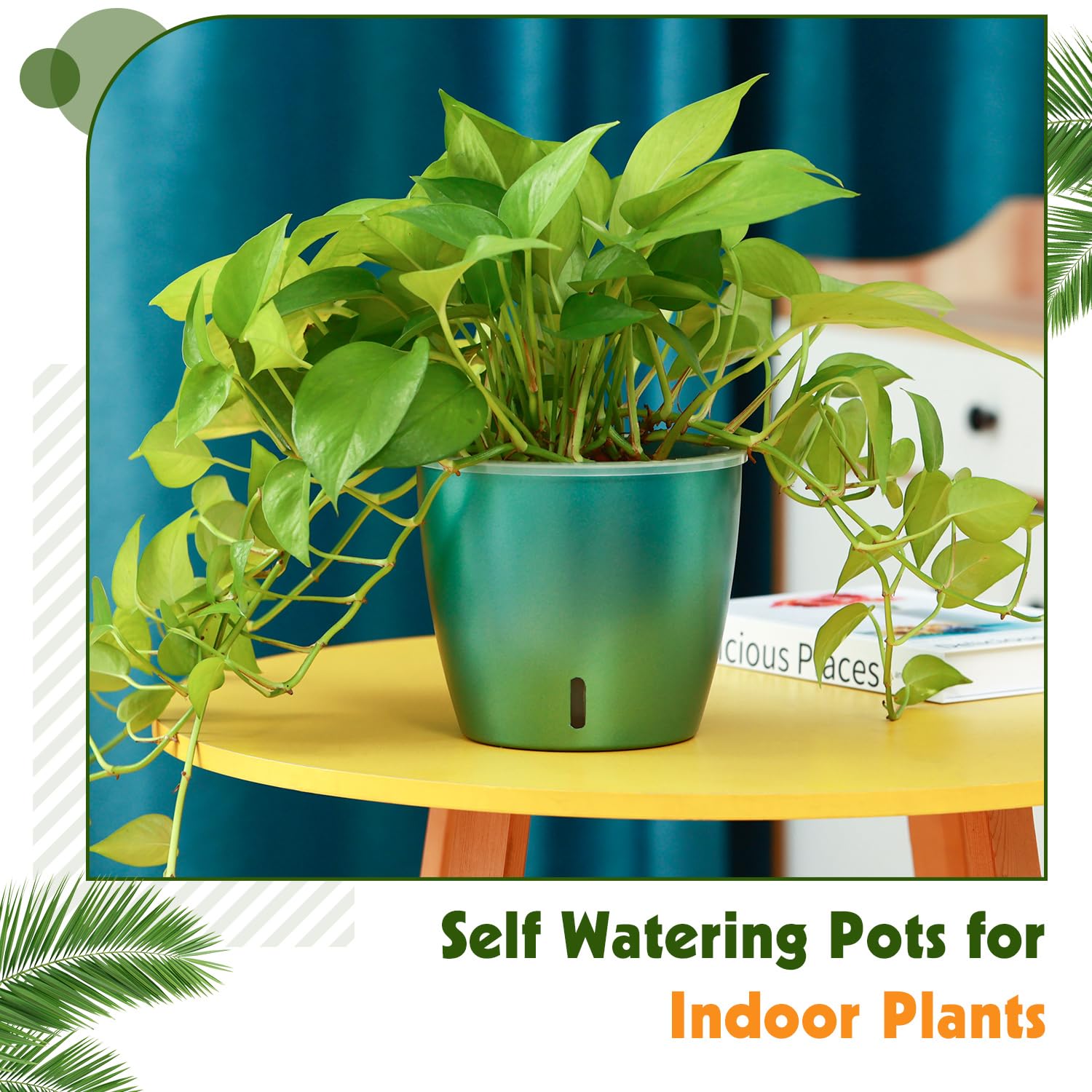 Self-Watering Pots for Indoor Plants, 16-Pack Self Watering Planter with Drainage Holes, Small African Violet Pots with Water Indicator, 10-Pack 5''/6-Pack 6.7'' Orchid Pot, Black