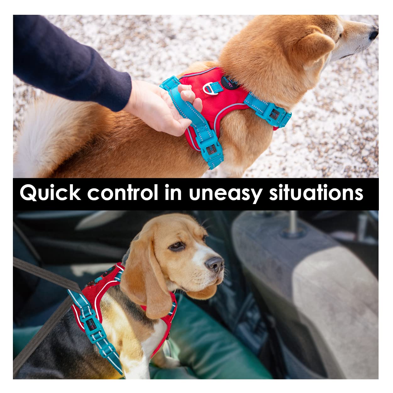 PHOEPET No Pull Dog Harness, Unique Colors Reflective Adjustable Dog Vest, with Soft Training Handle Metal Clips for Small Medium Large Dogs (Baby Blue Base & Pink Straps,S)
