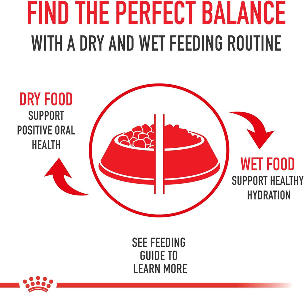 Royal Canin Breed Health Nutrition Dachshund Adult Loaf in Sauce Dog Food, 3 oz (Pack of 24)