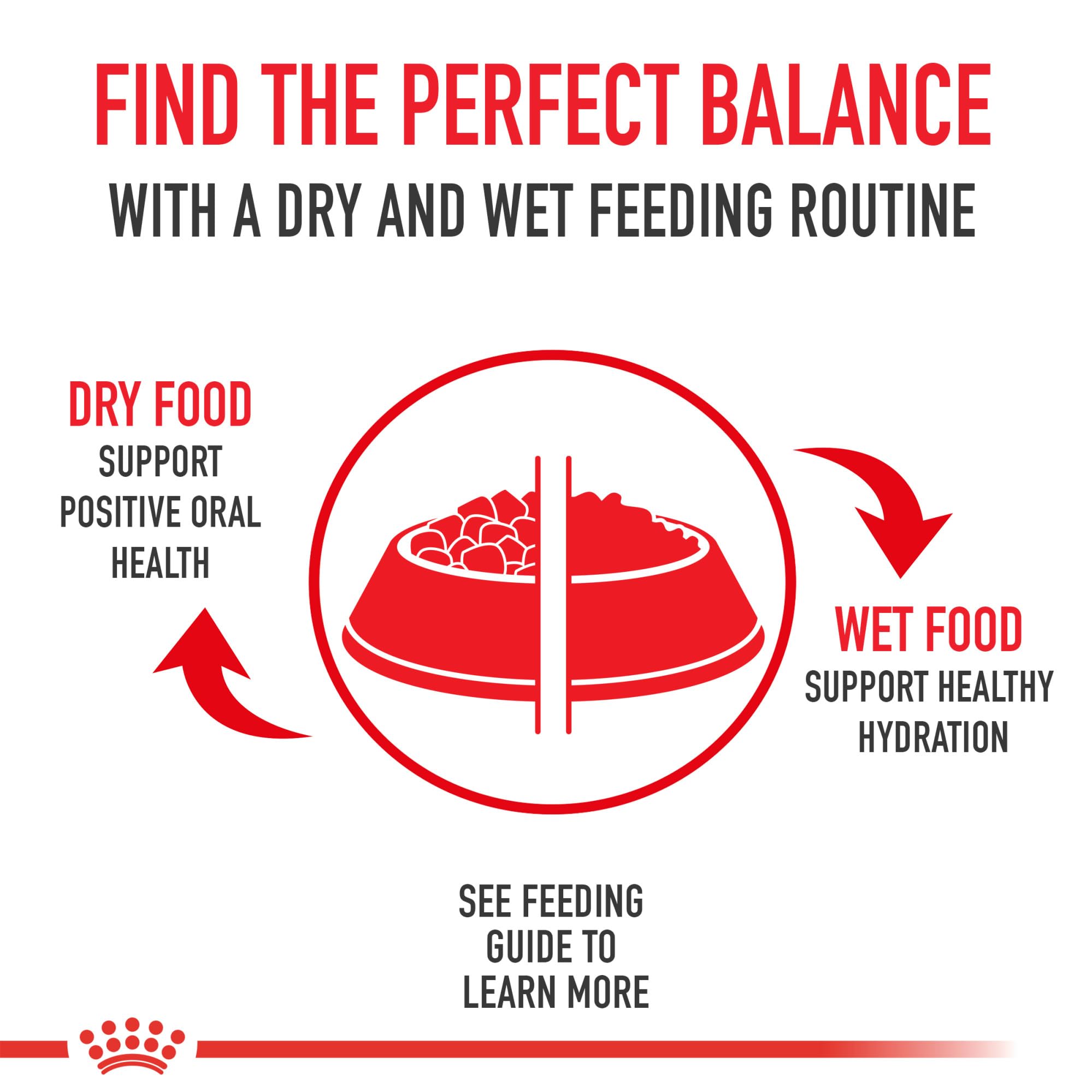 Royal Canin Size Health Nutrition Small 8+ Senior Dry Dog Food, 2.5 lb Bag