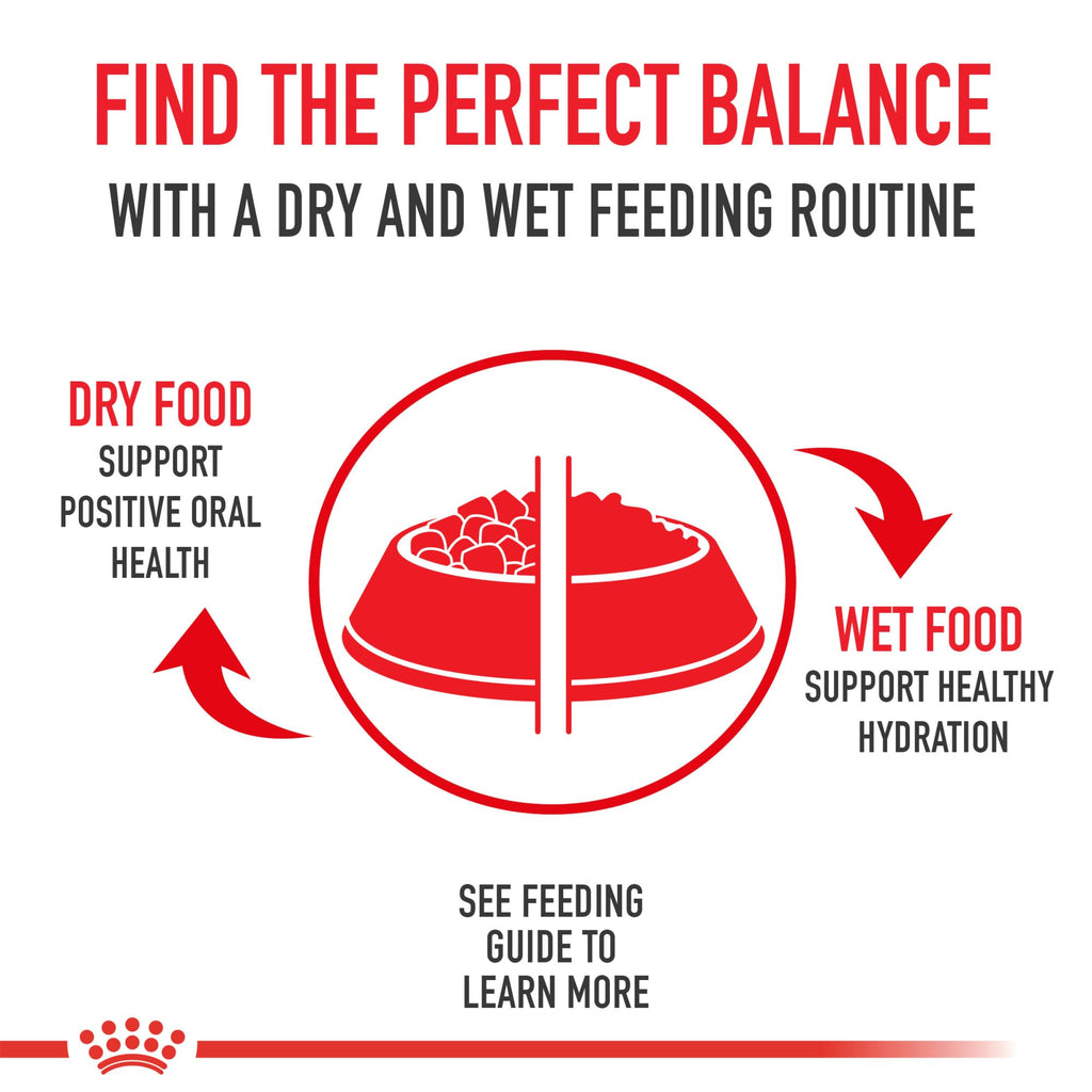 Royal Canin Size Health Nutrition Small 8+ Senior Dry Dog Food, 2.5 lb Bag