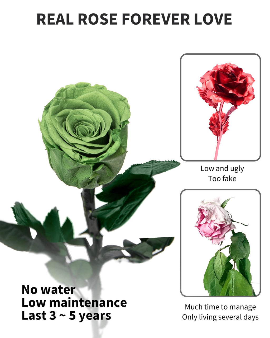 Flowers for Delivery Prime, Preserved Roses Flower Gifts for Women, Real Roses Single Rose Presents for Her, Mom Birthday Gifts from Daughter, Valentines Flowers Red Roses
